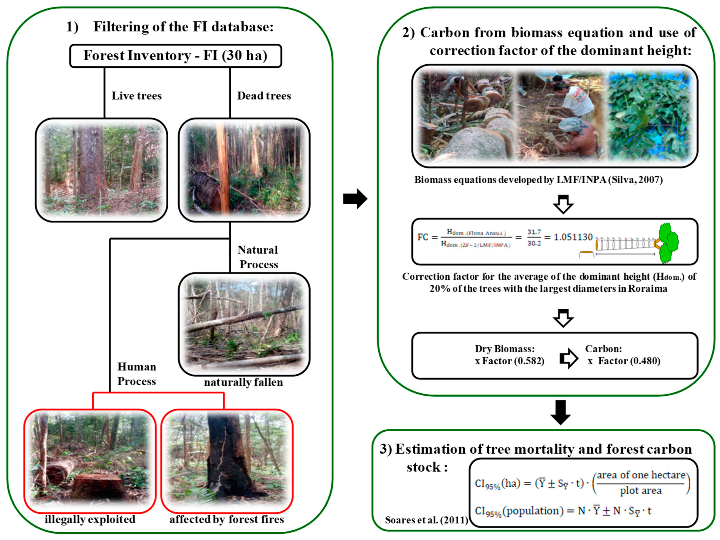 Forests 10 00061 g005