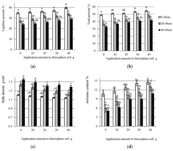 Effect of Yeast Extract on Seedling Growth Promotion and