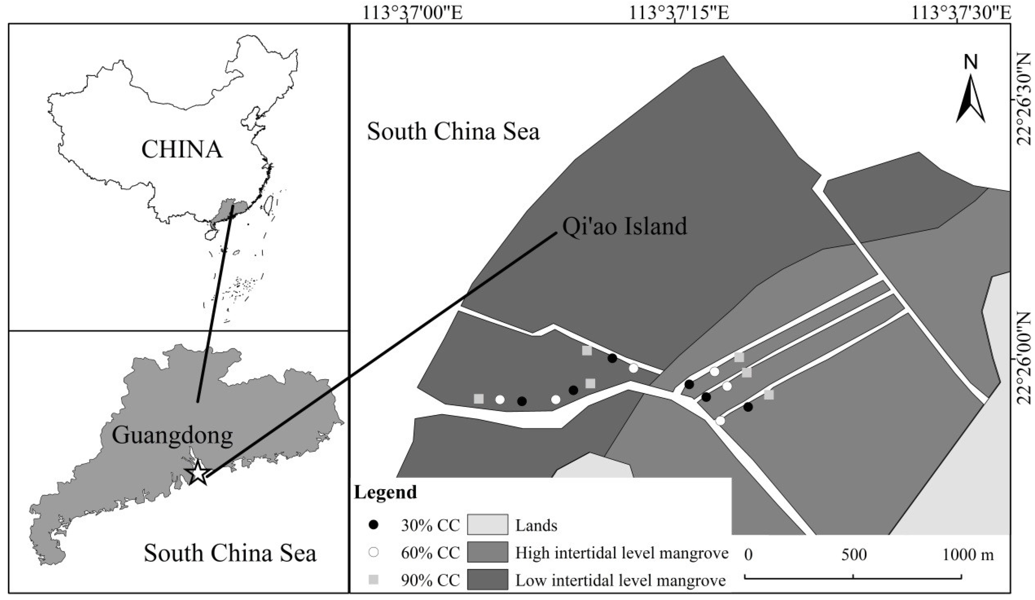 Forests 10 00083 g001