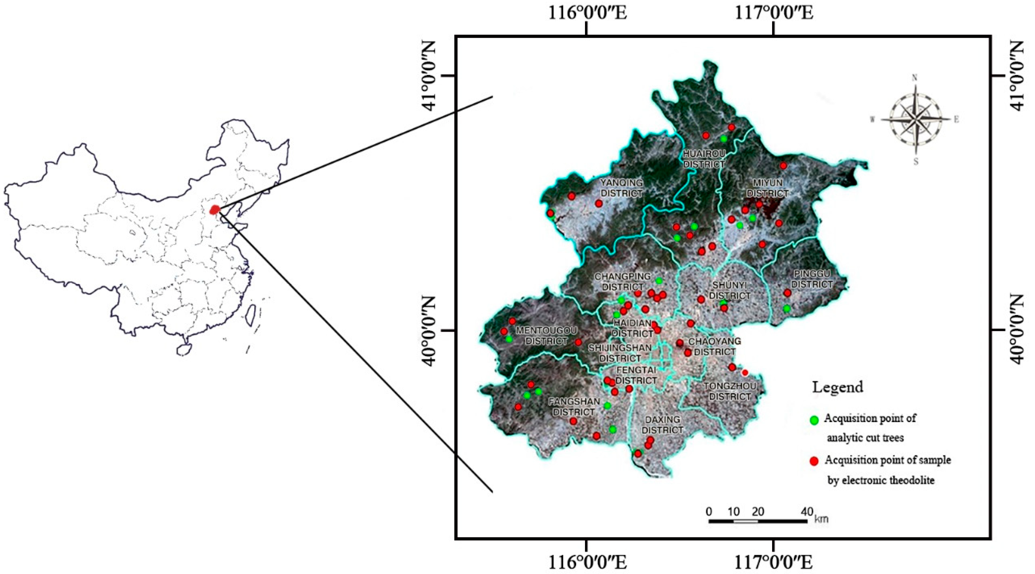 Forests 10 00092 g001