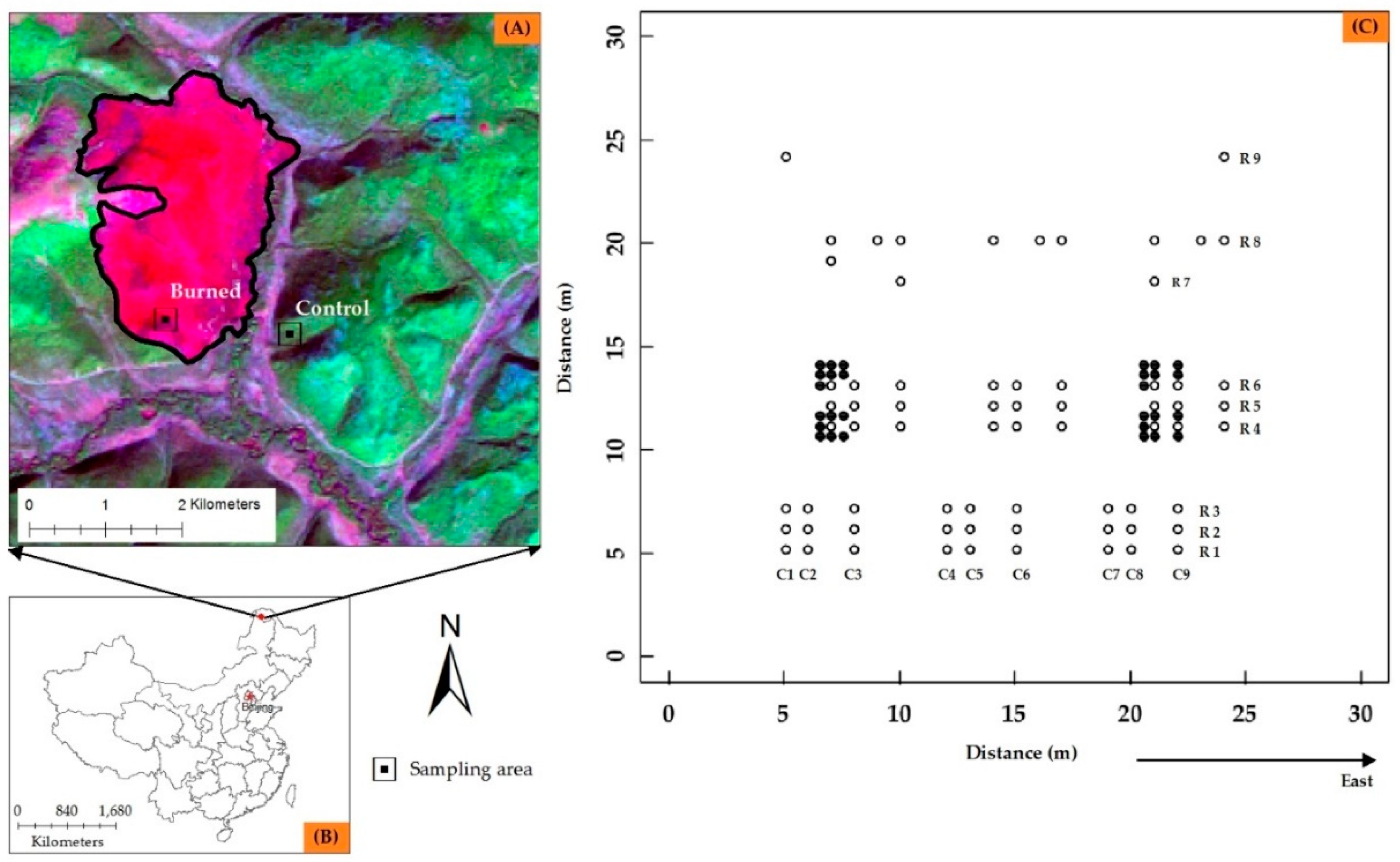 Forests 10 00095 g001