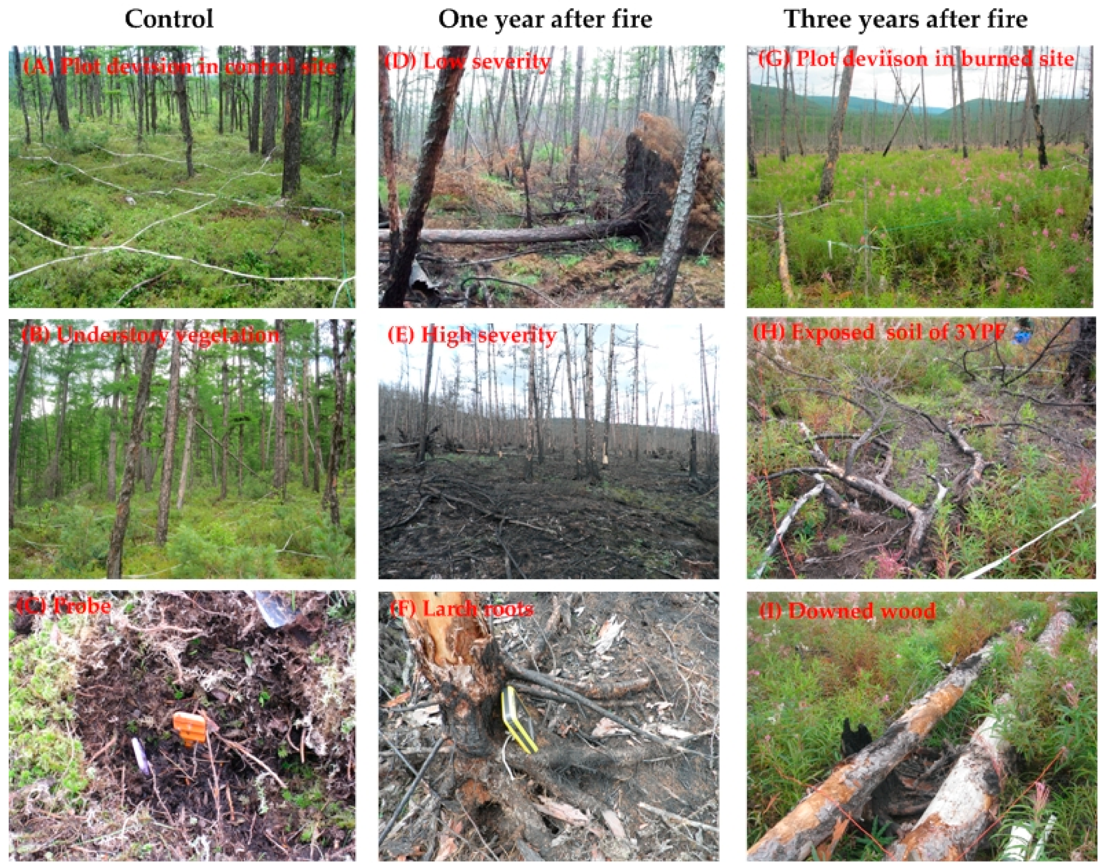 Forests 10 00095 g002