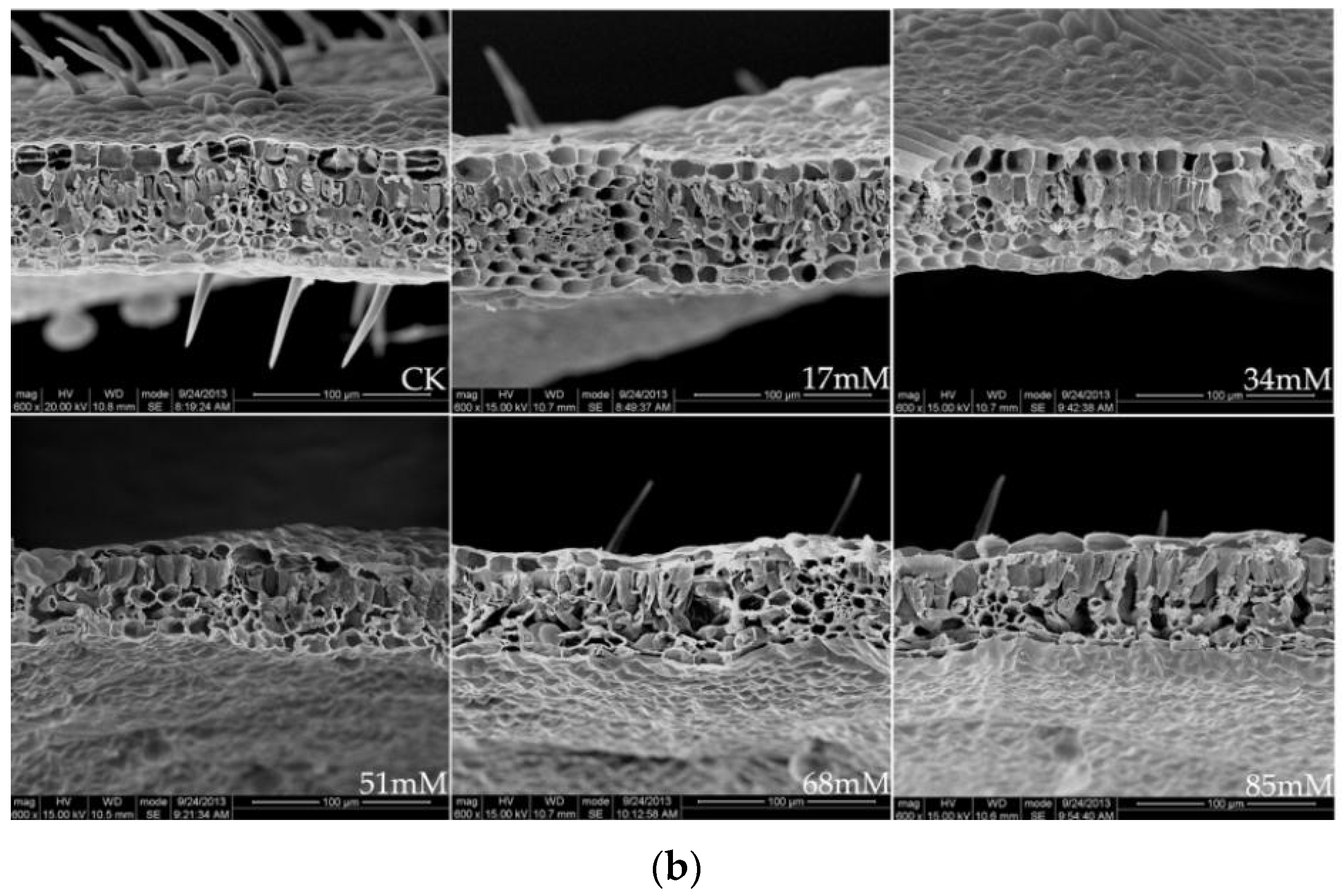 Forests 10 00096 g001b