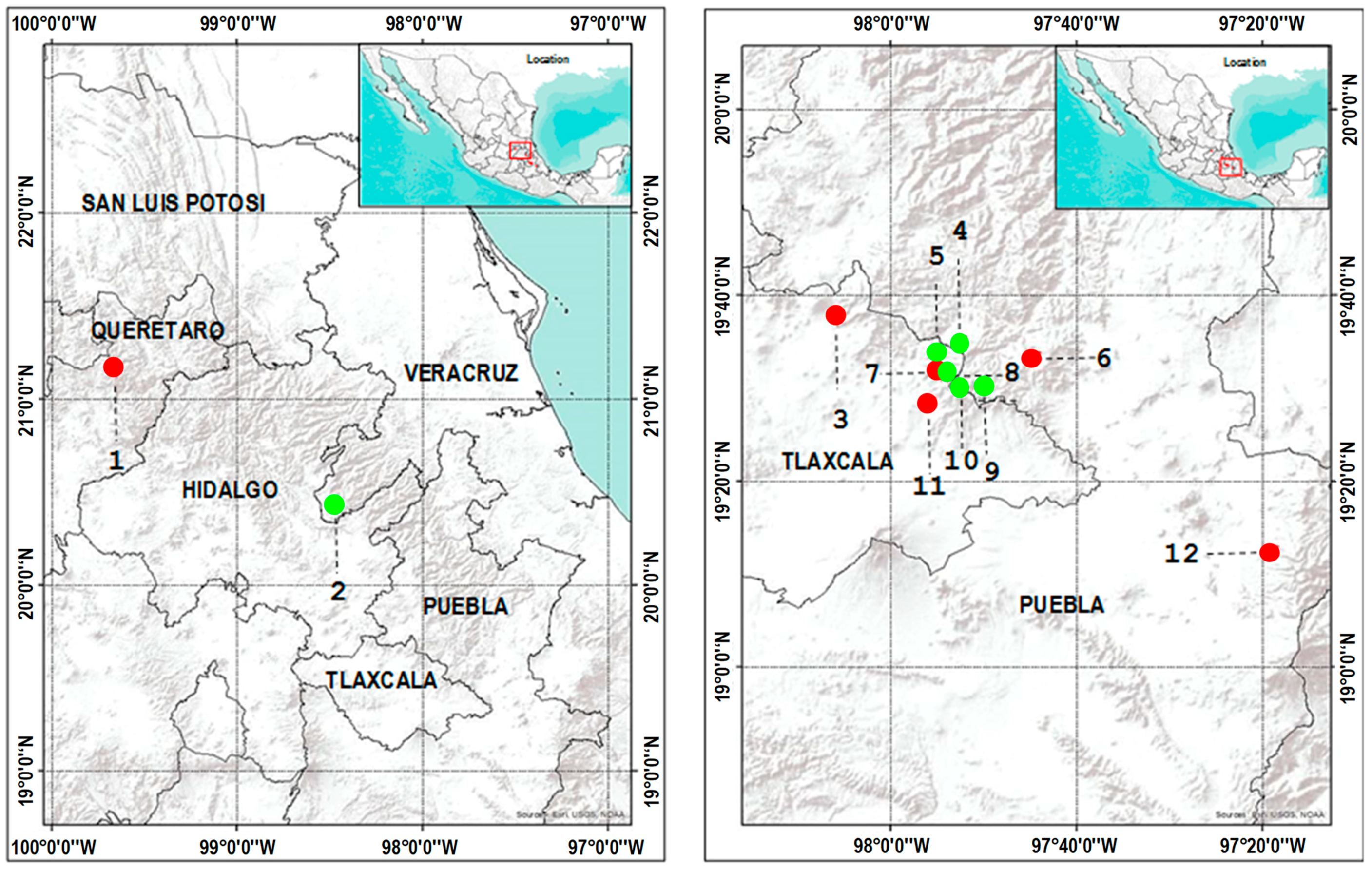 Forests 10 00101 g001 Forests 10 00101 g001