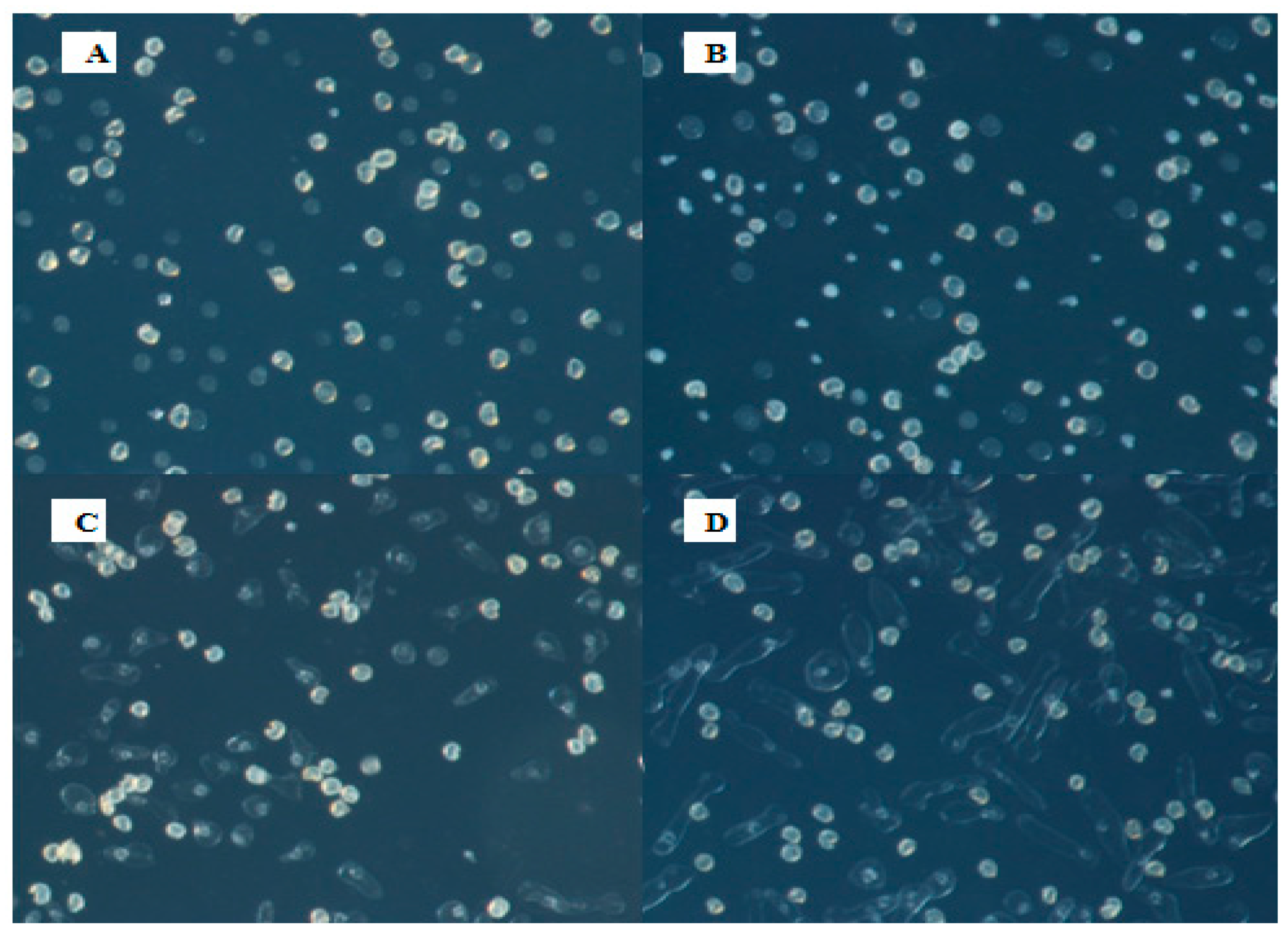 Forests 10 00102 g003