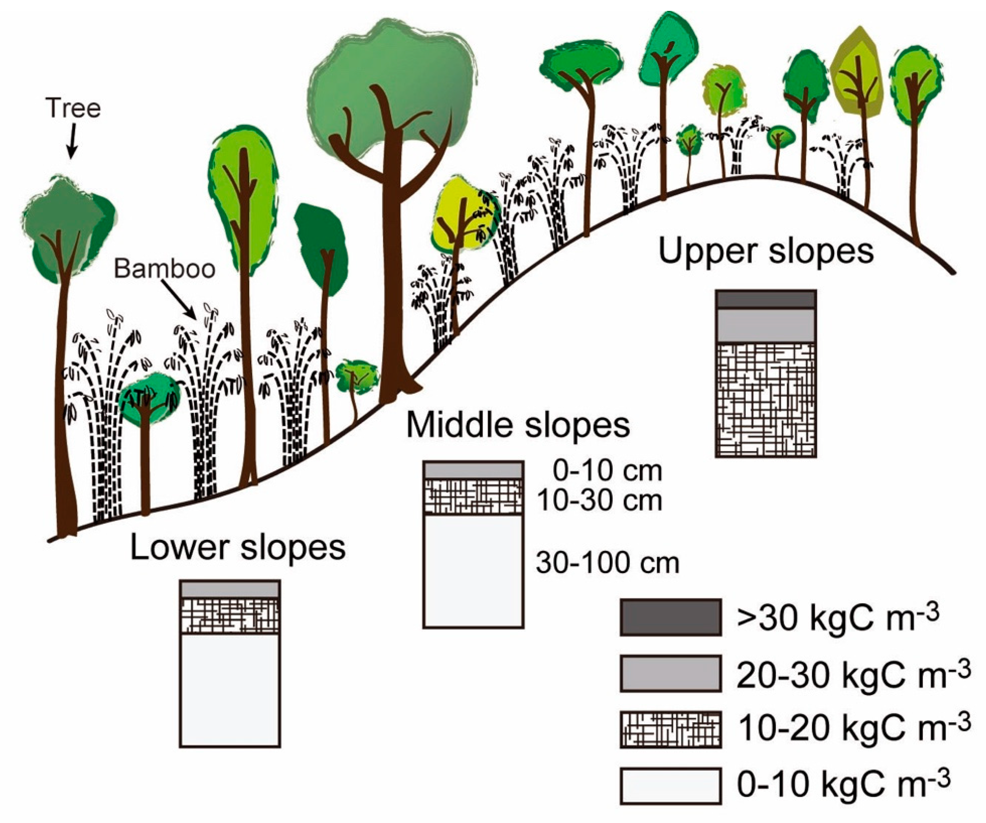 Forests 10 00106 g003