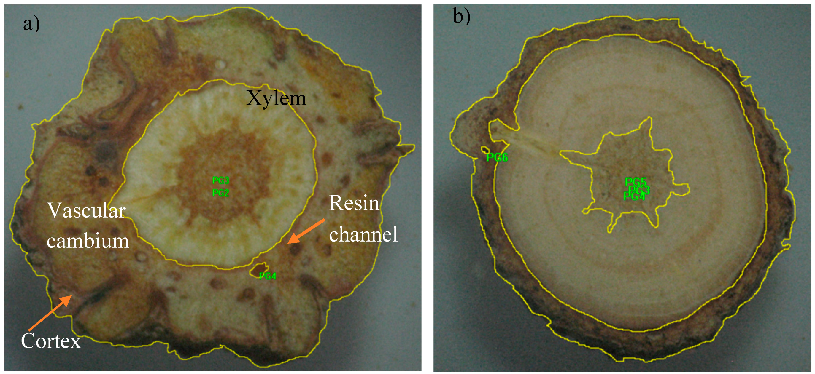 Forests 10 00112 g003