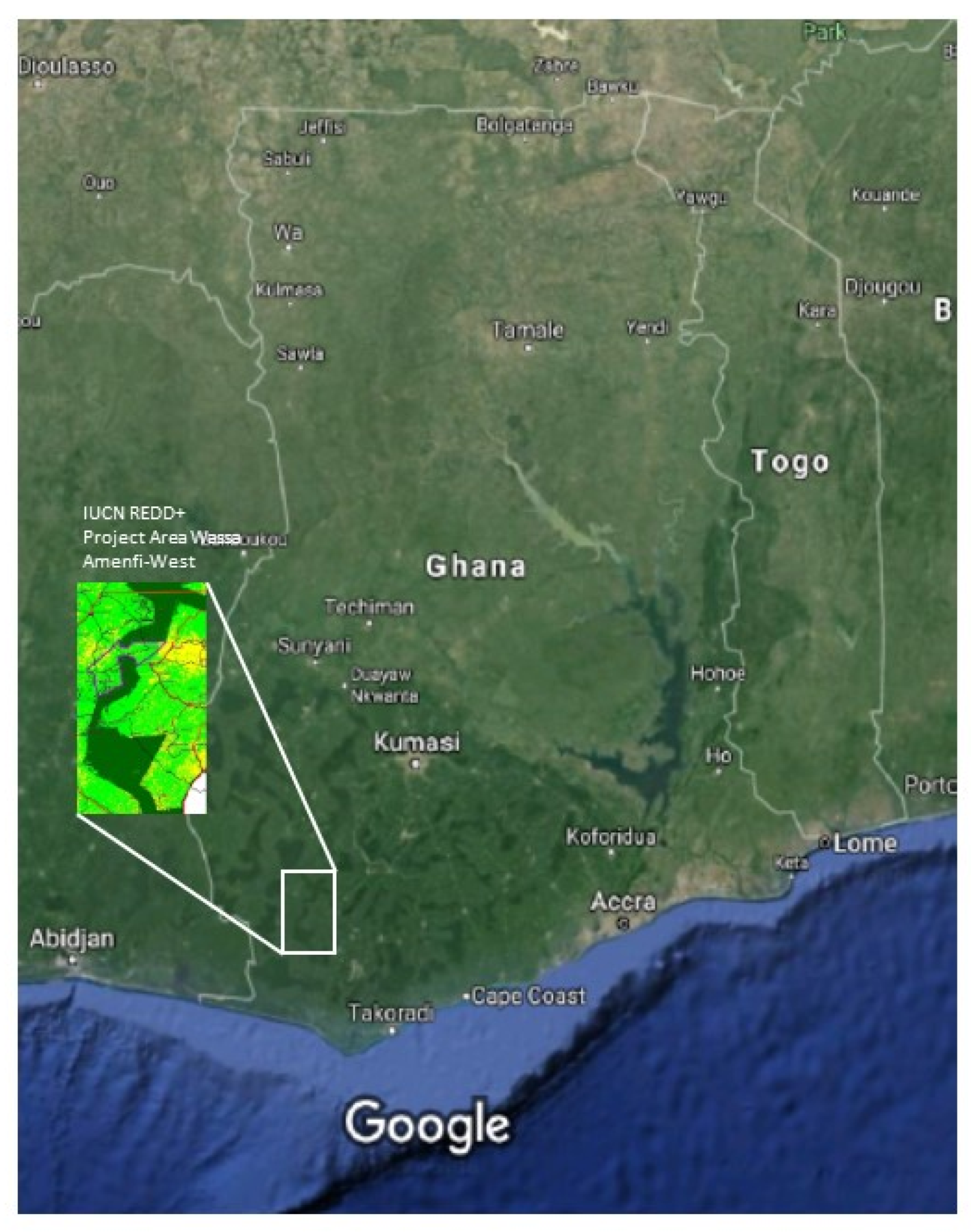 Forests 10 00117 g001 Forests 10 00117 g001
