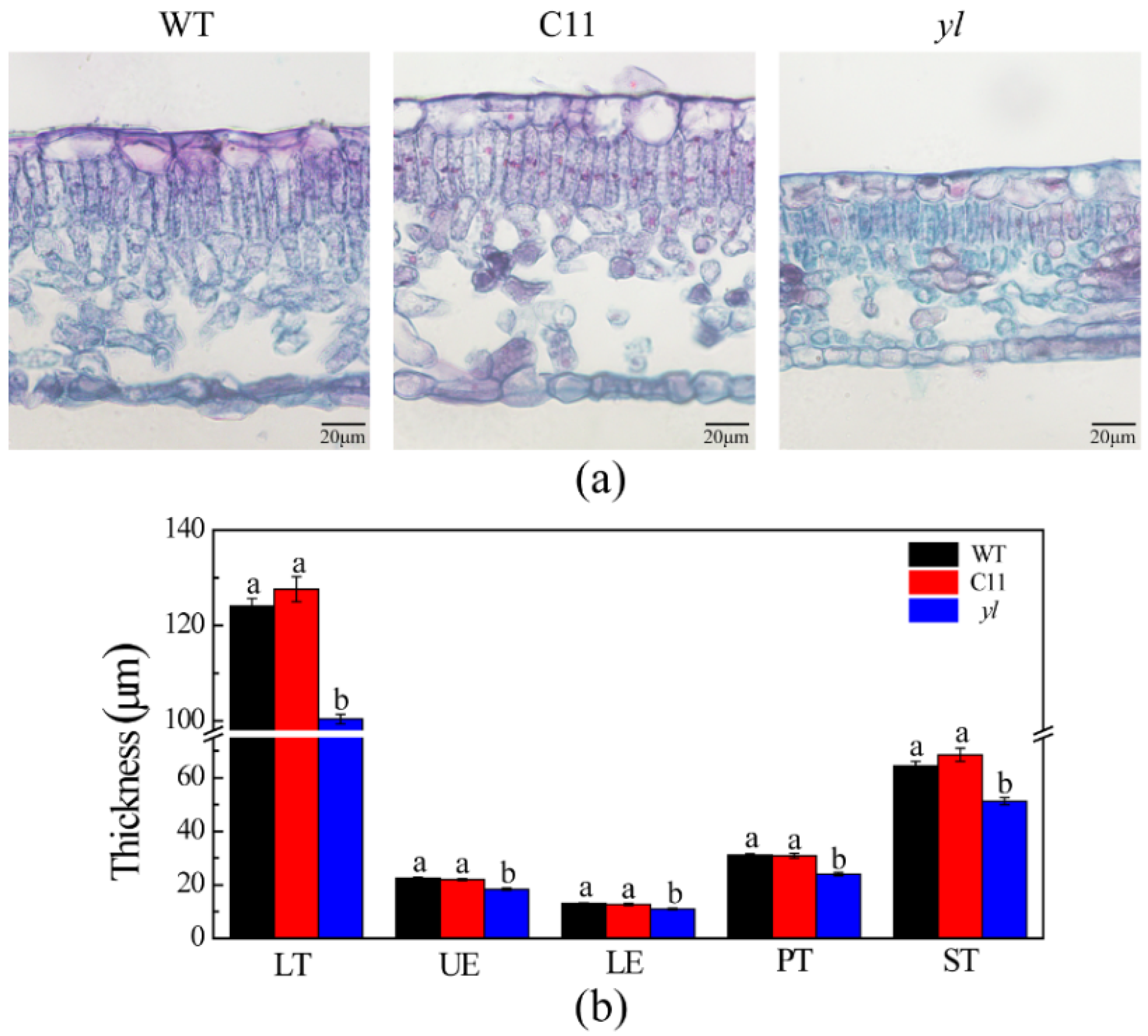 Forests 10 00120 g002 Forests 10 00120 g002