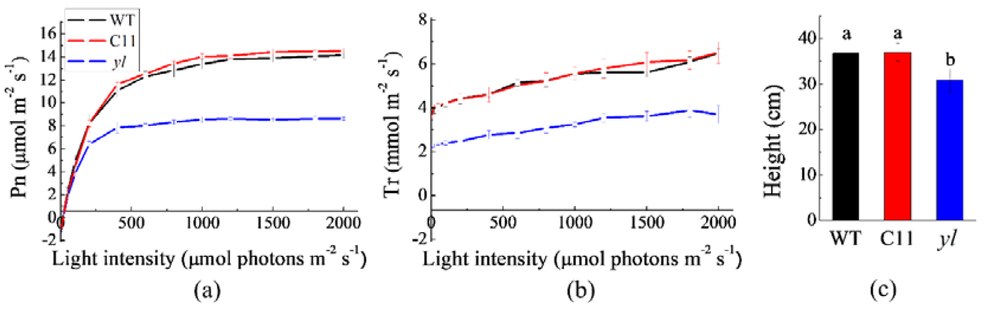 Forests 10 00120 g003 Forests 10 00120 g003