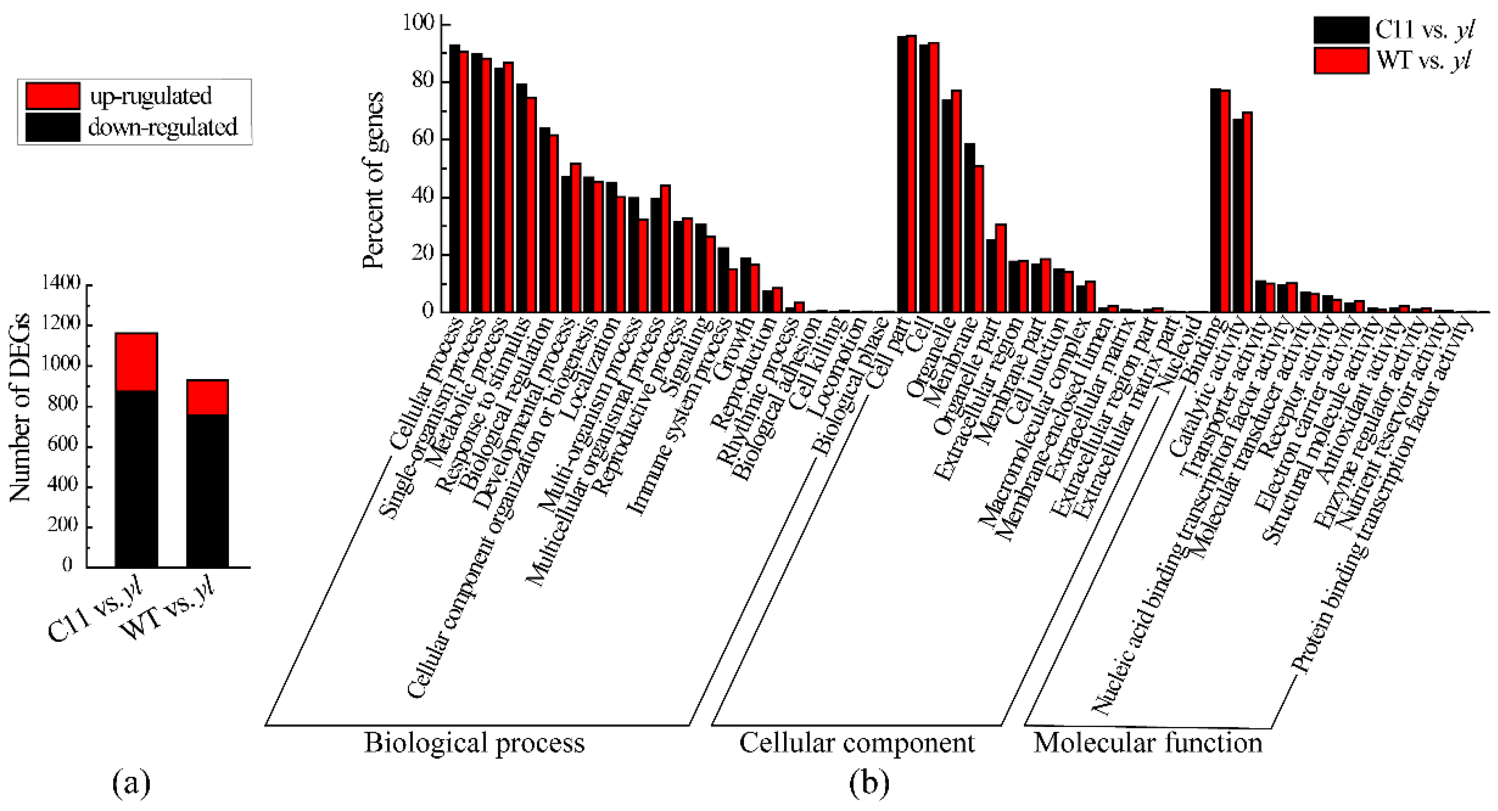 Forests 10 00120 g005 Forests 10 00120 g005