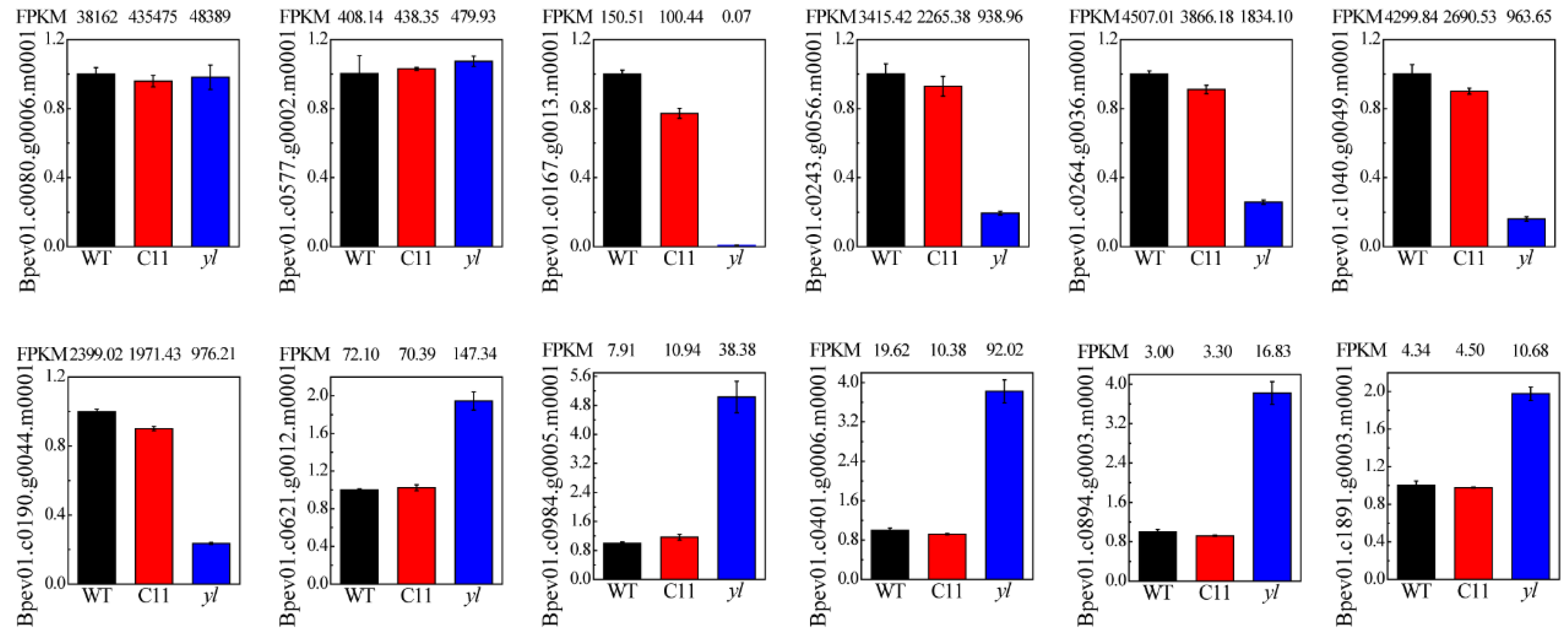 Forests 10 00120 g008 Forests 10 00120 g008
