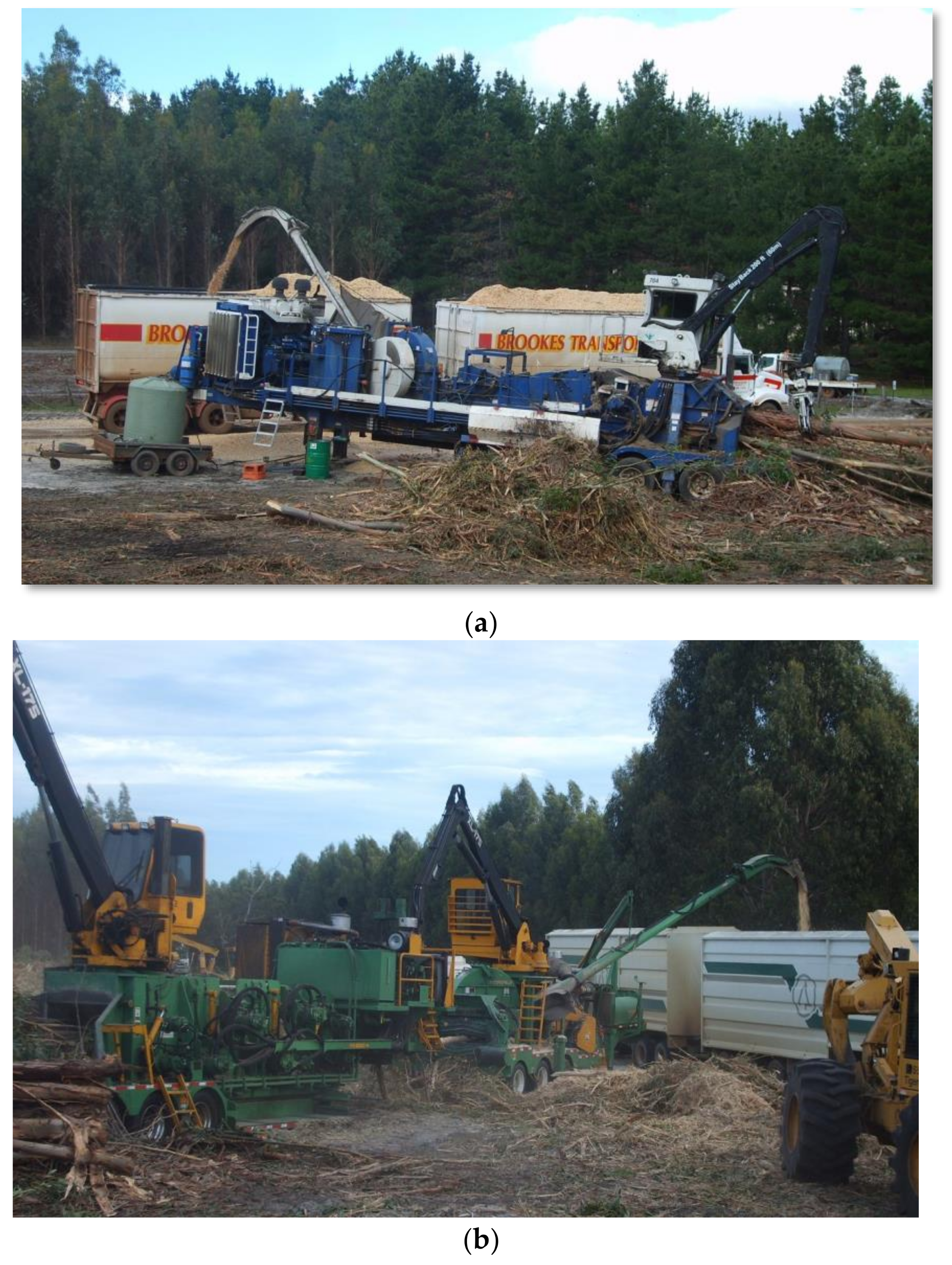 Forests 10 00126 g001 550