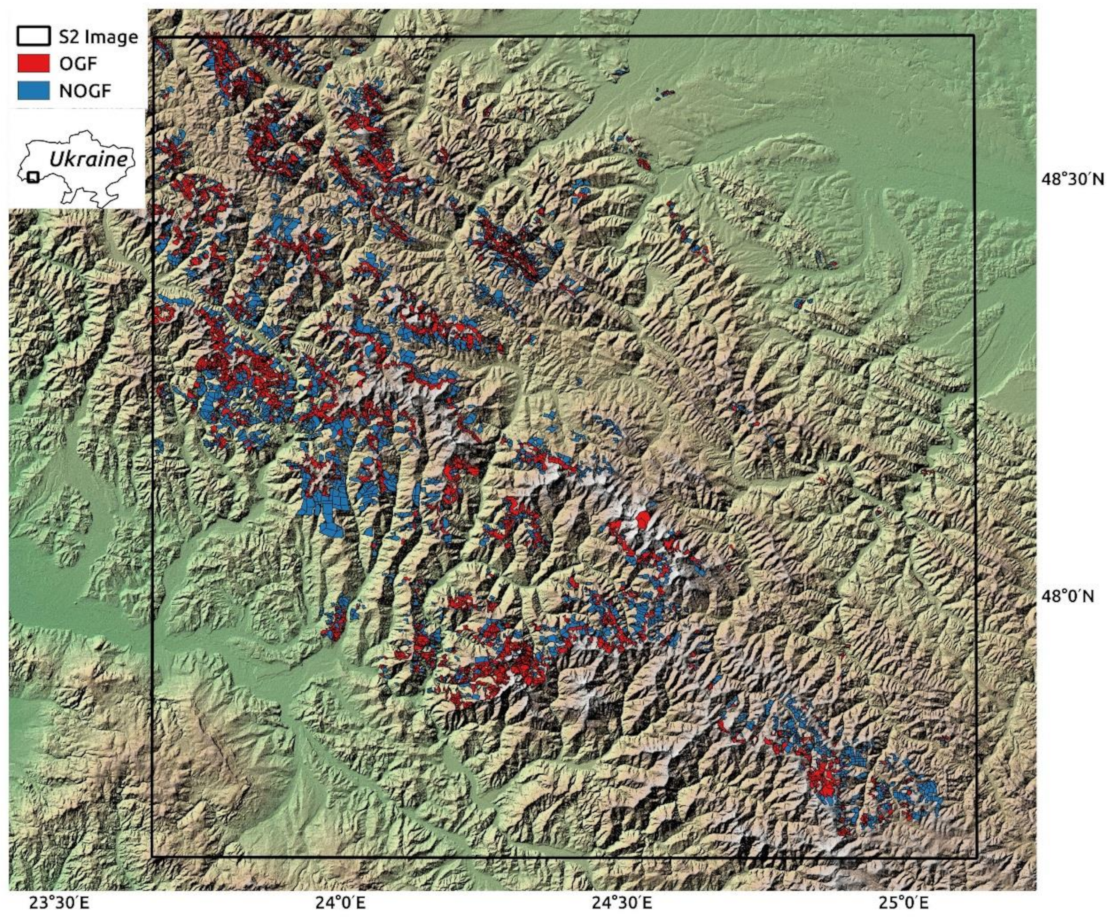 Forests 10 00127 g001