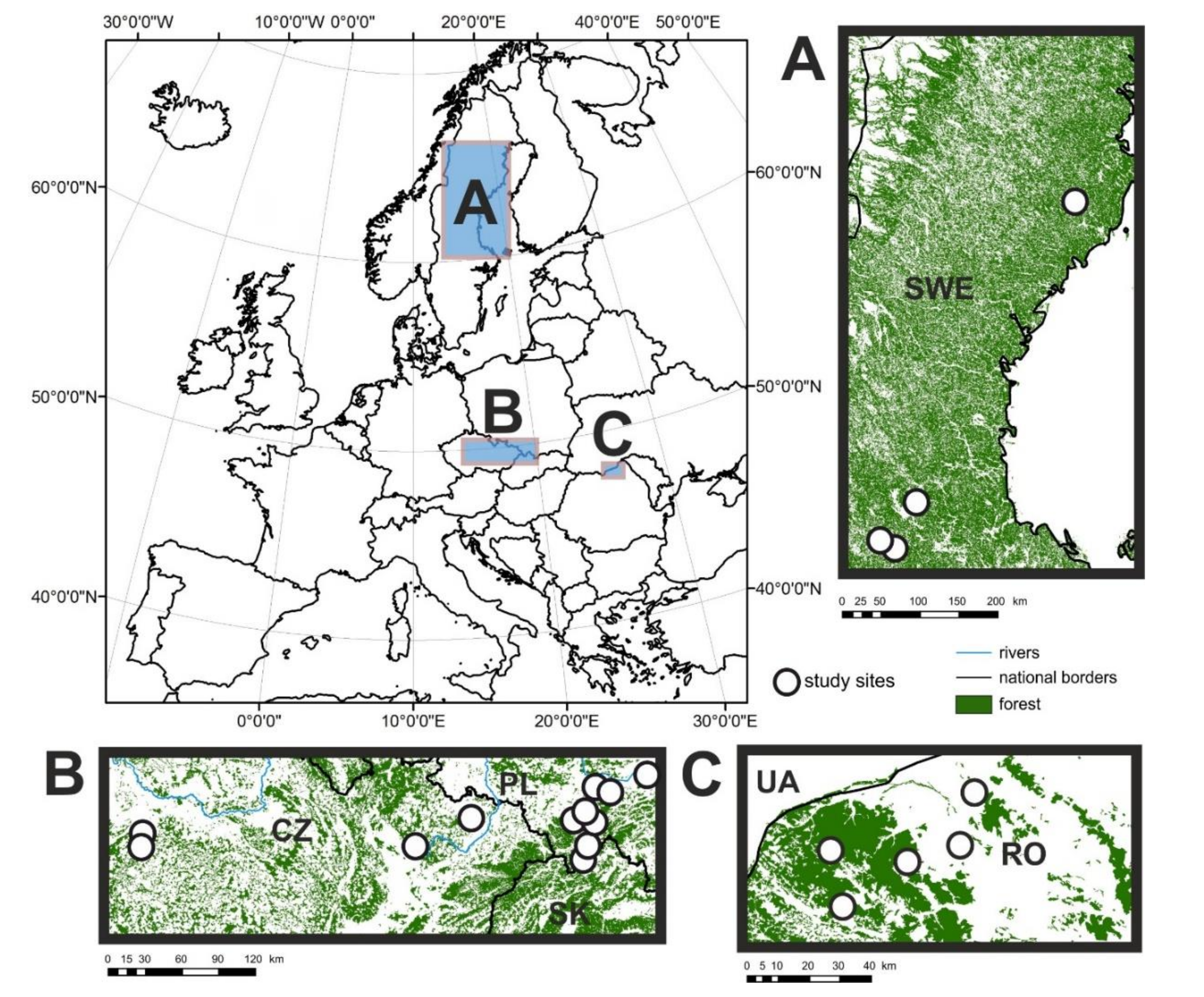 Forests 10 00131 g001 Forests 10 00131 g001
