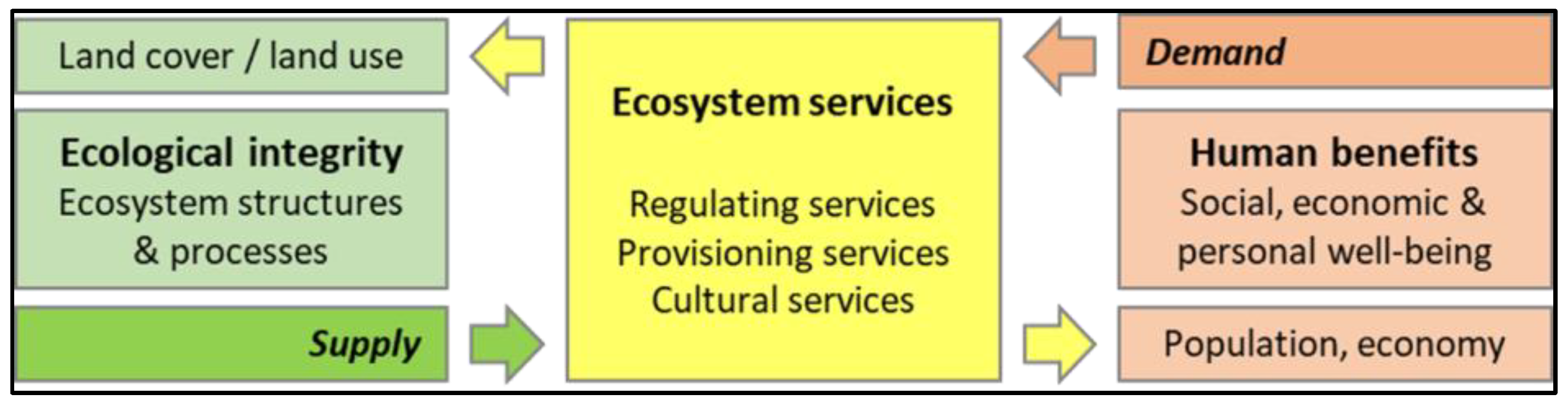 Forests 10 00132 g001