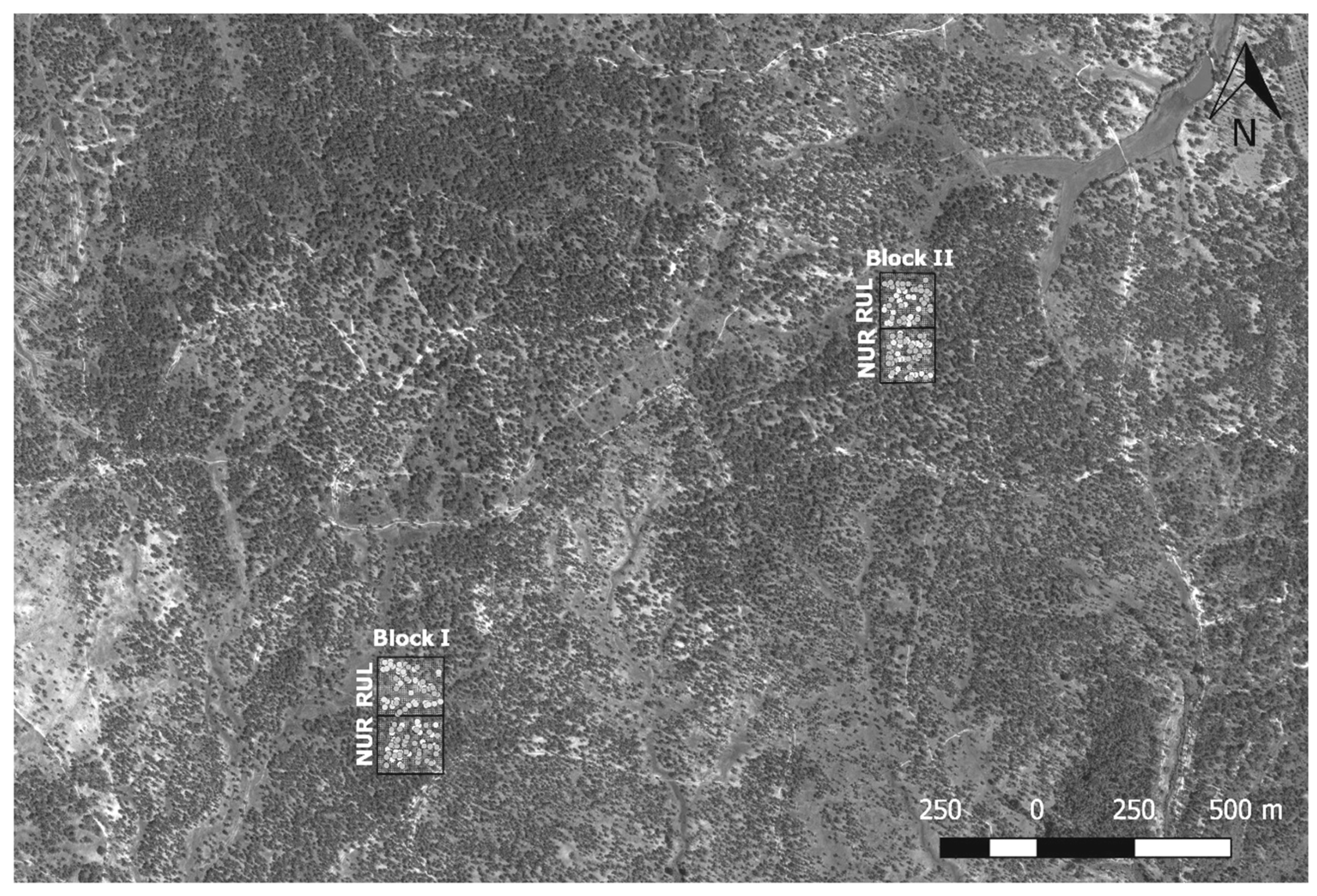 Forests 10 00133 g001 Forests 10 00133 g001