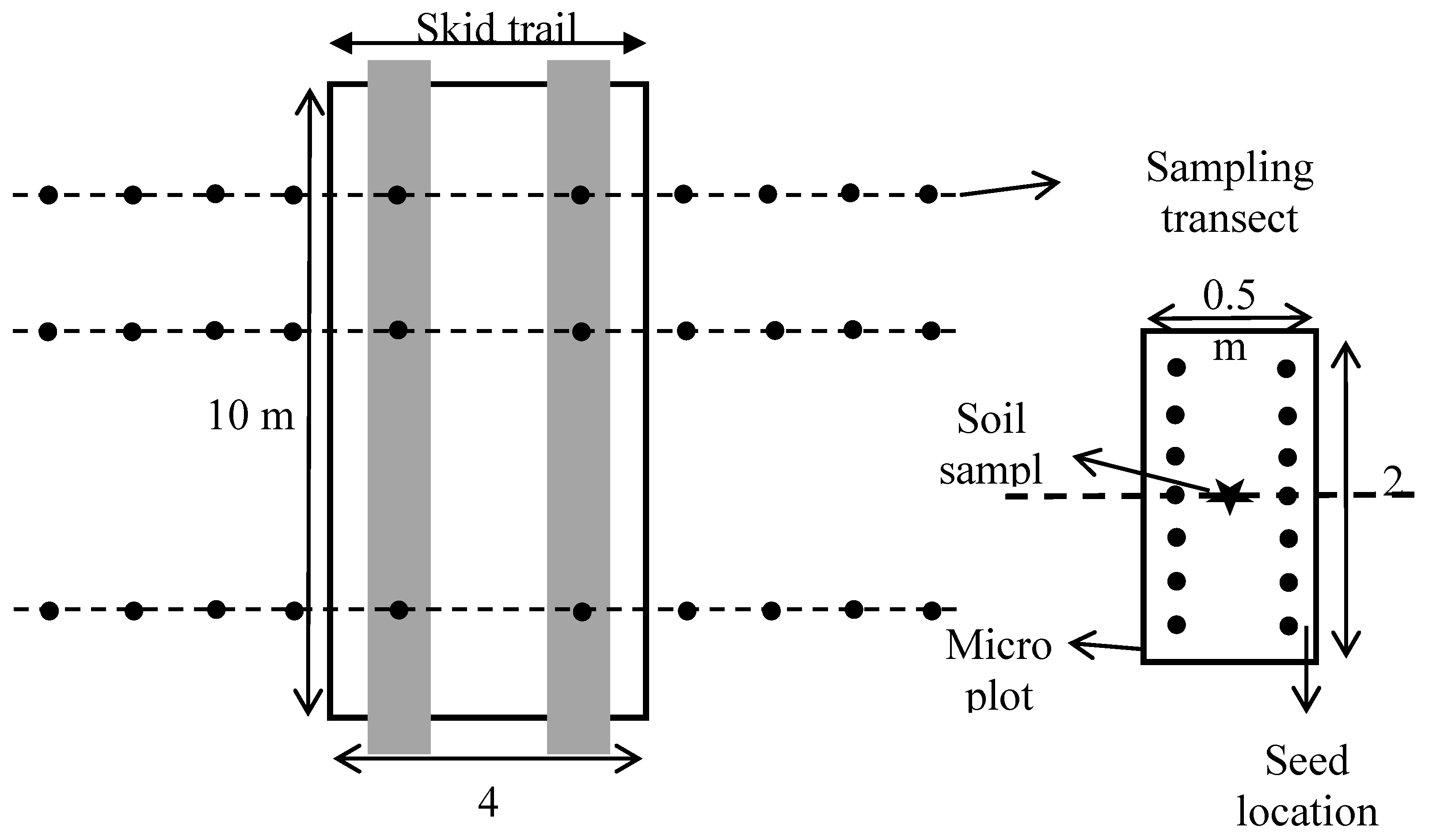 Forests 10 00134 g002 550