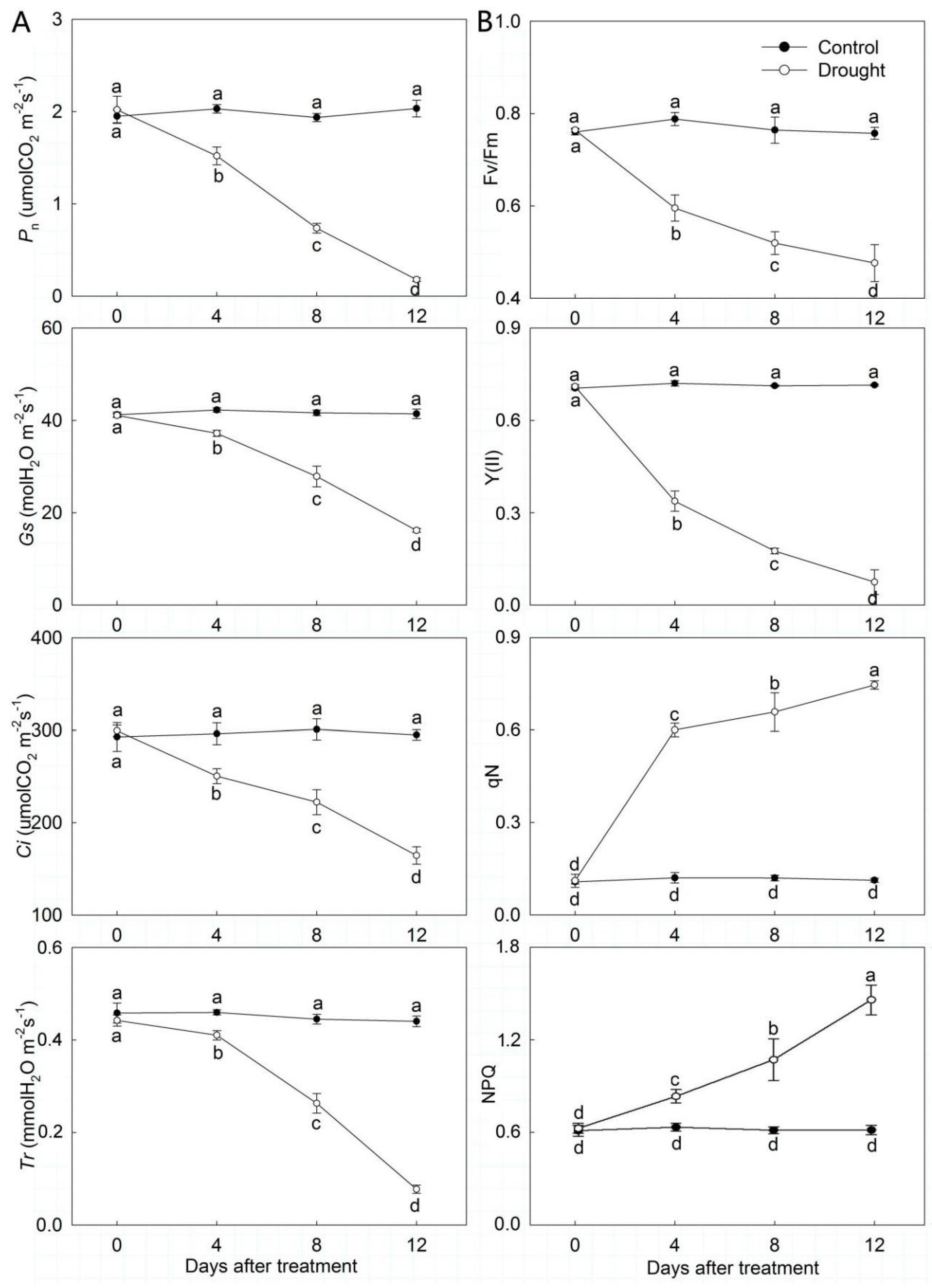 Forests 10 00135 g004