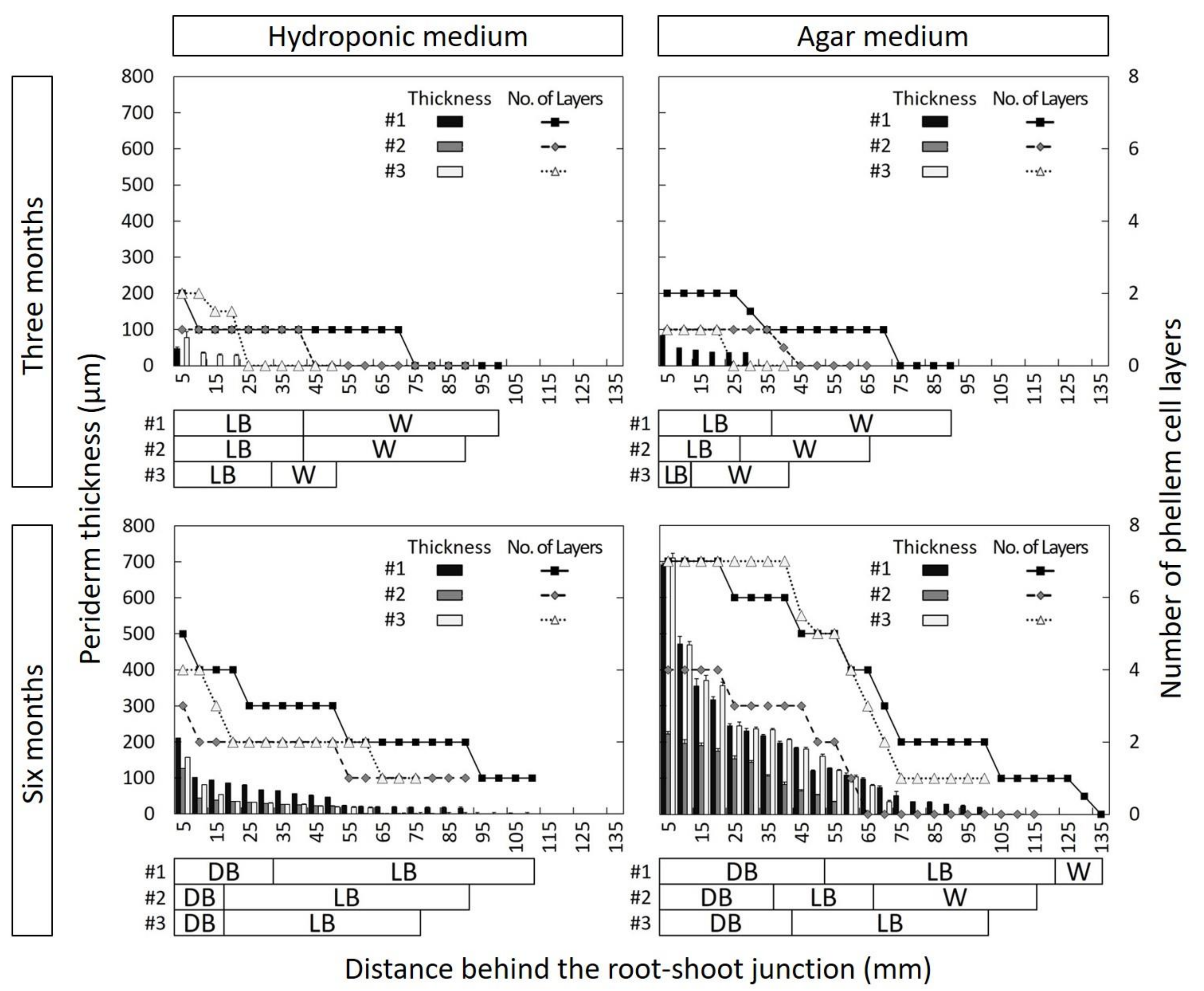 Forests 10 00137 g002
