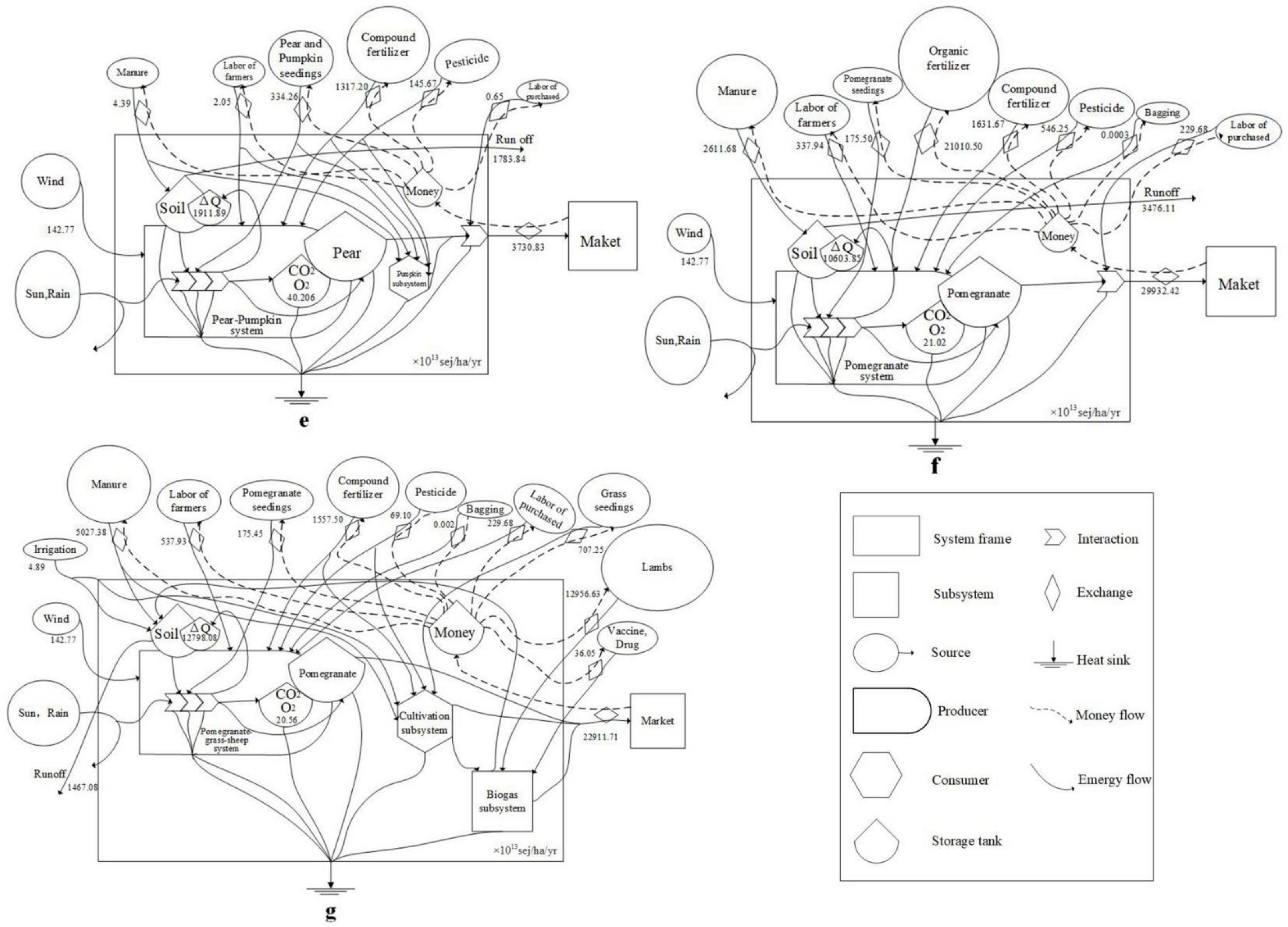 Forests 10 00138 g001b Forests 10 00138 g001b