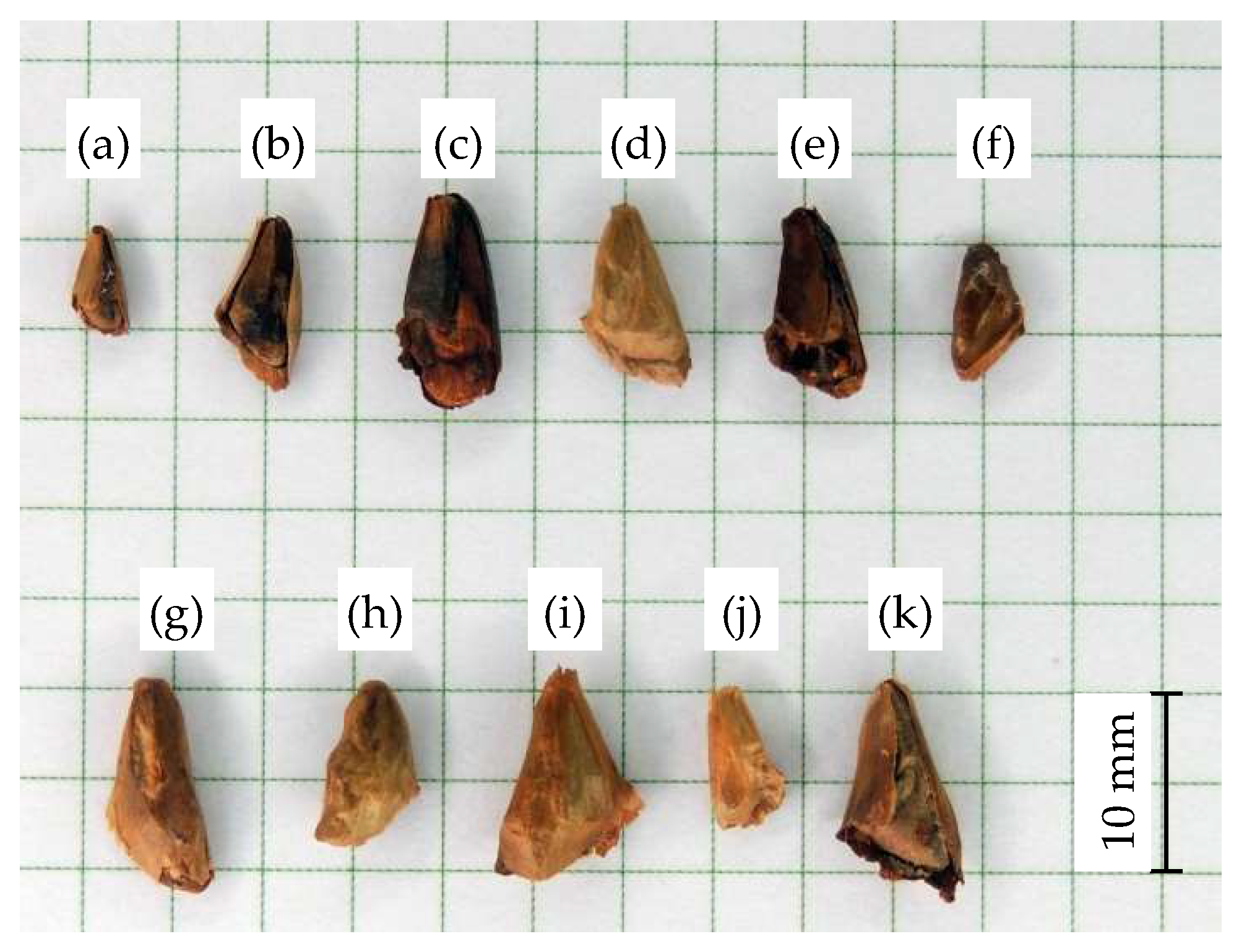 Forests 10 00142 g001 550