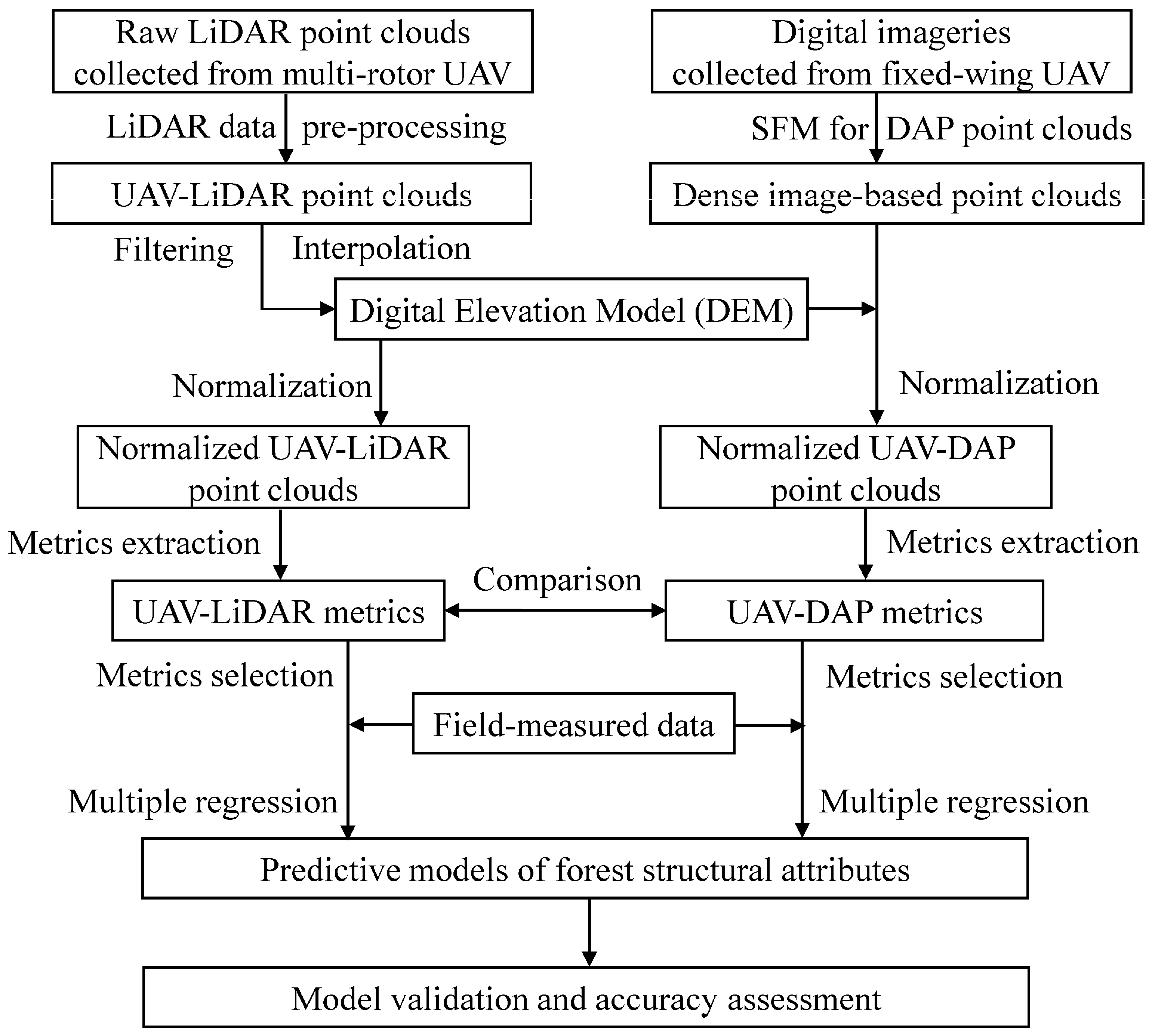 Forests 10 00145 g002 550