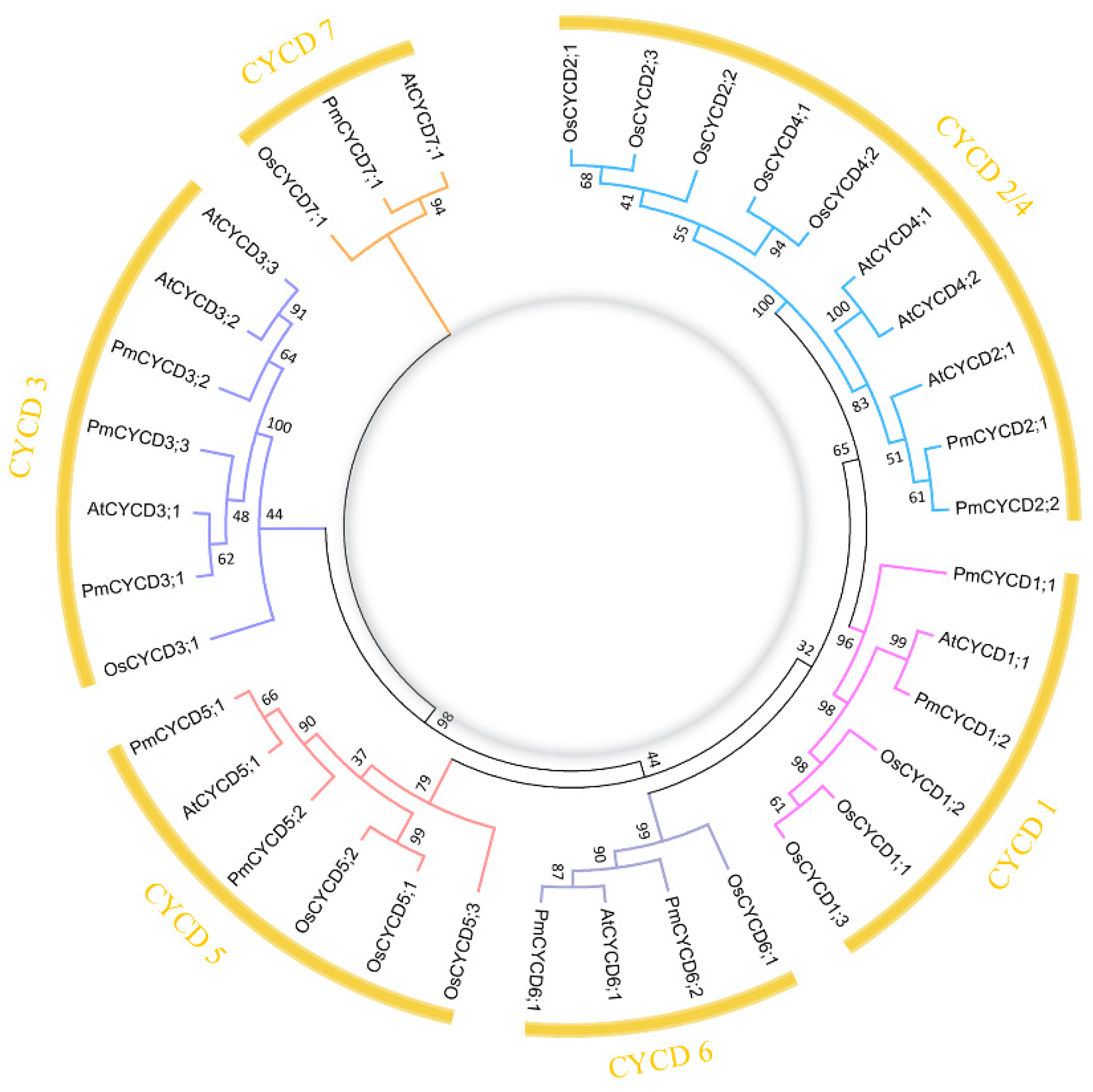 Forests 10 00147 g001