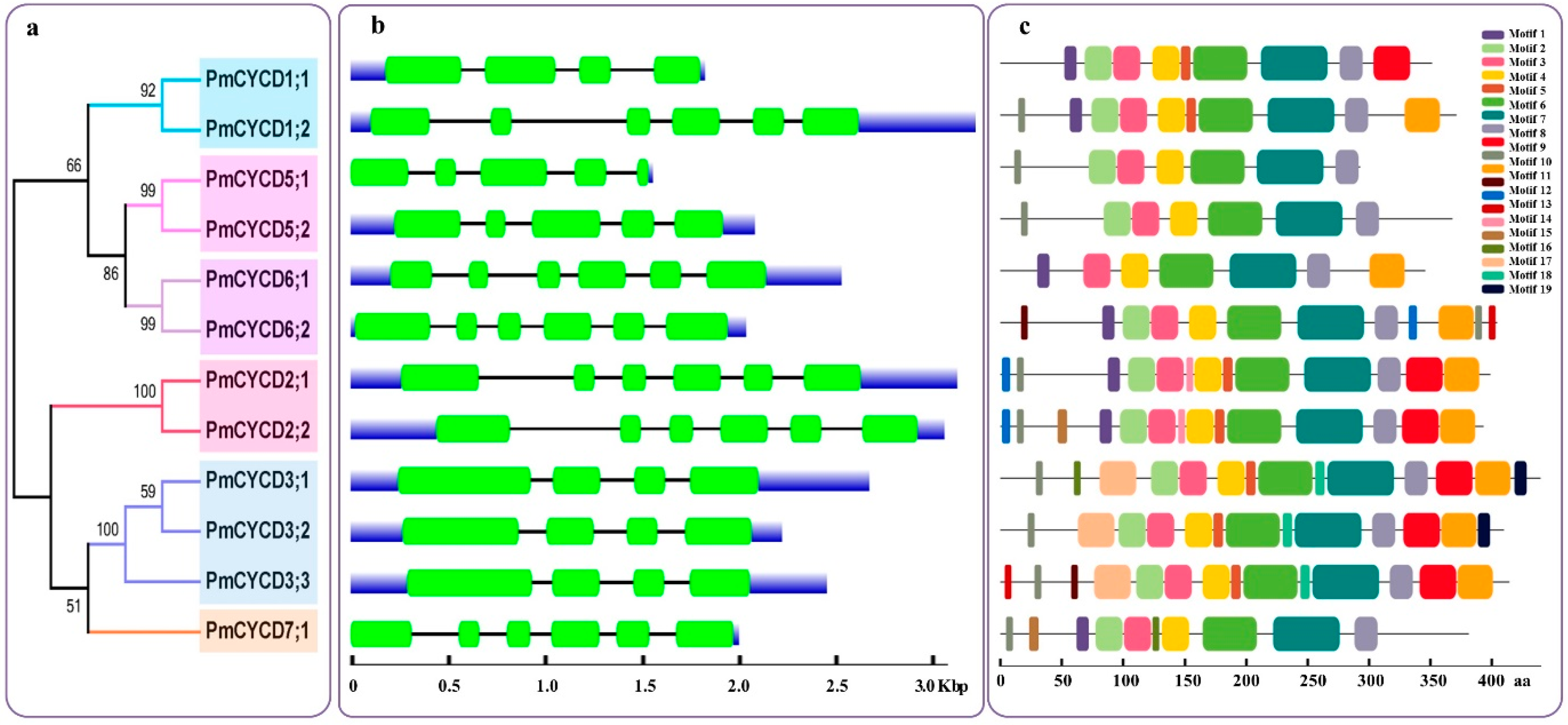 Forests 10 00147 g002