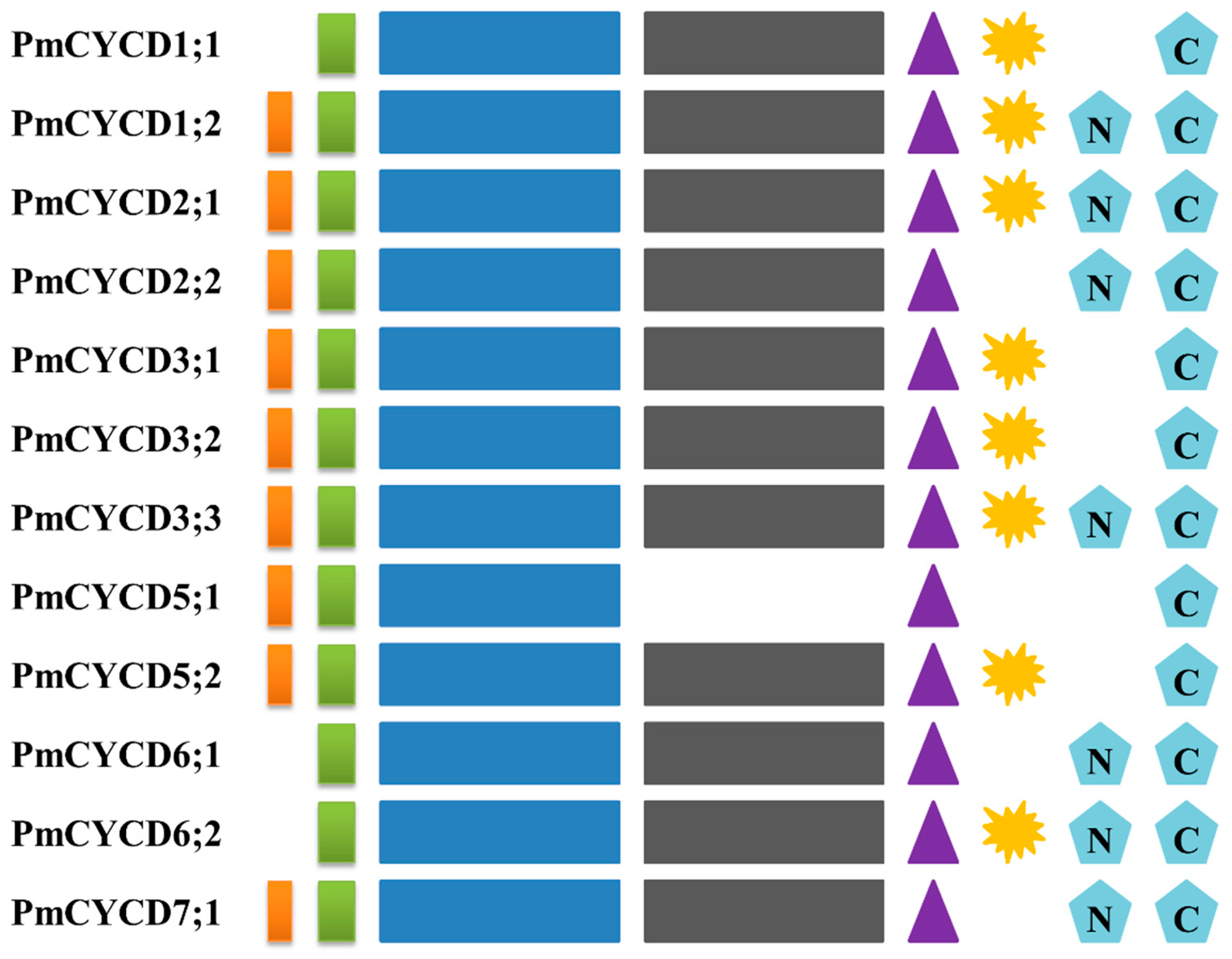 Forests 10 00147 g003