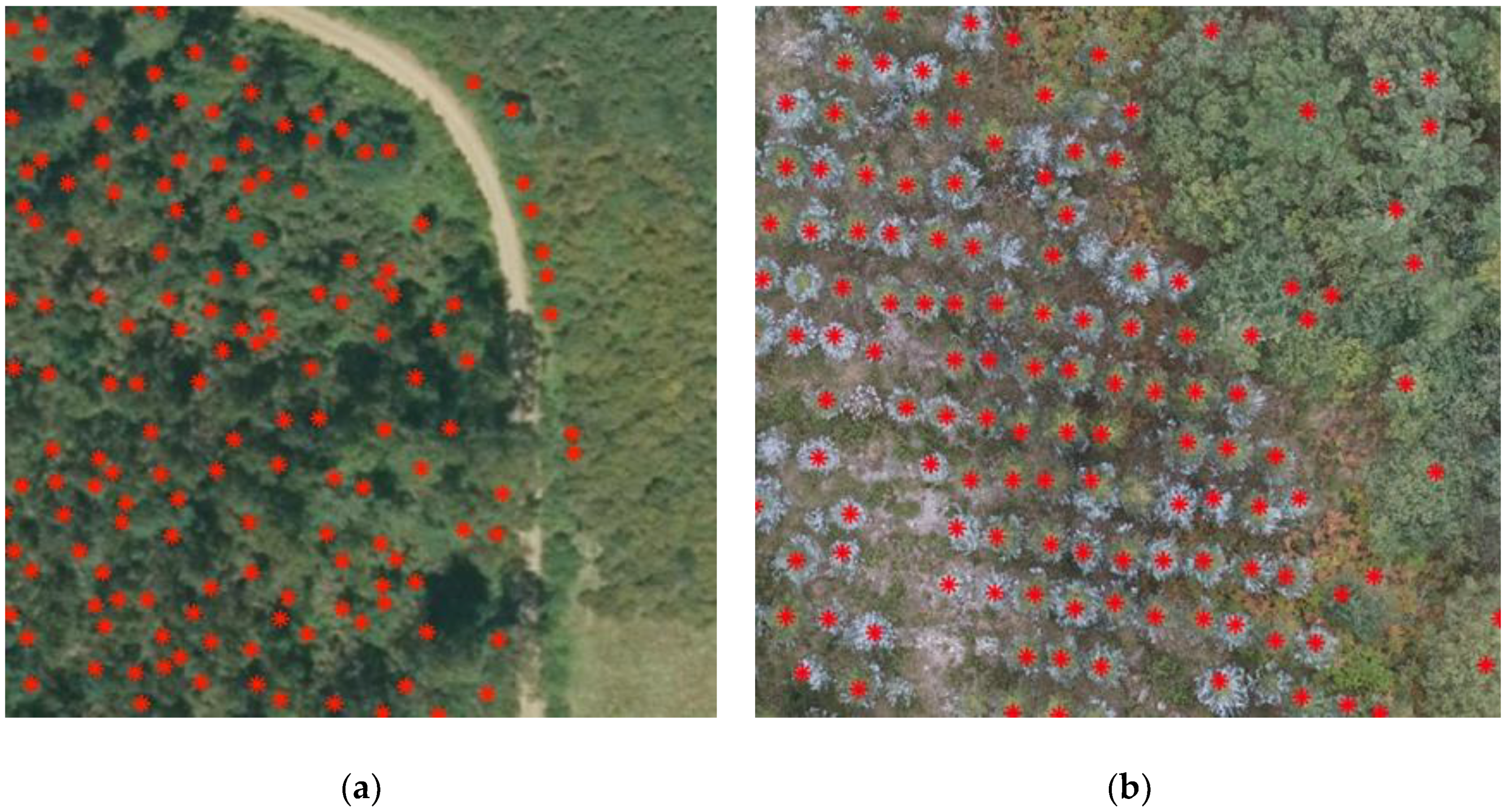 Forests 10 00148 g008