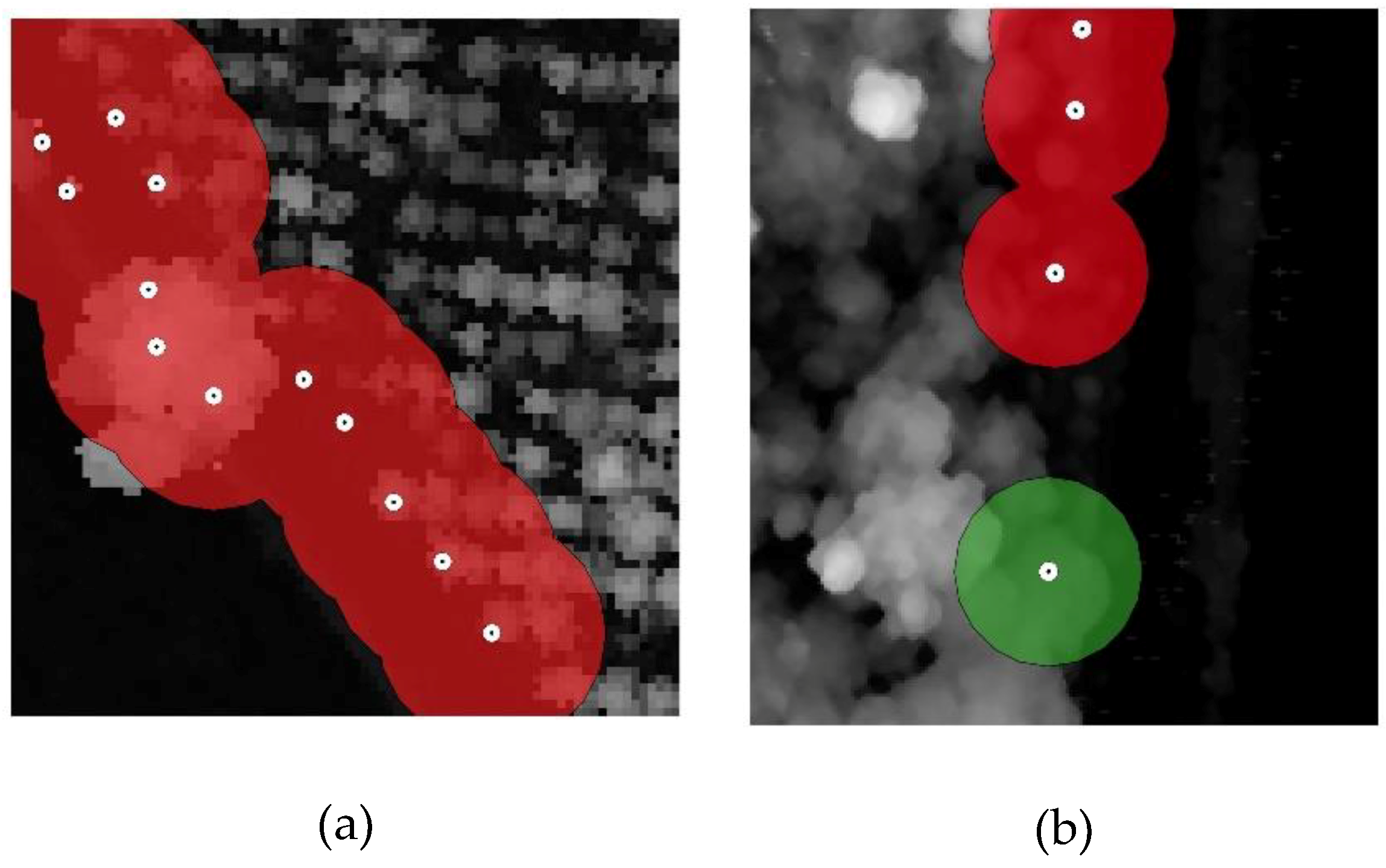 Forests 10 00148 g013