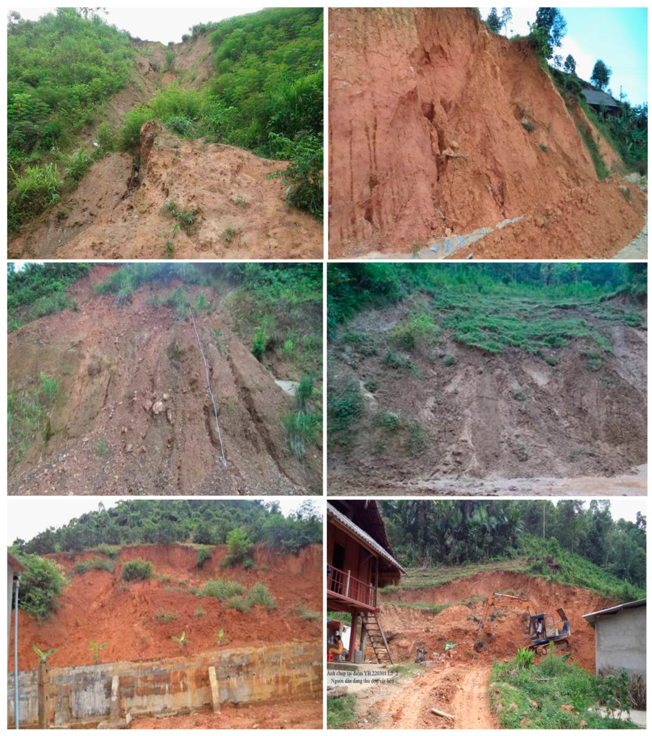 Forests 10 00157 g003 550