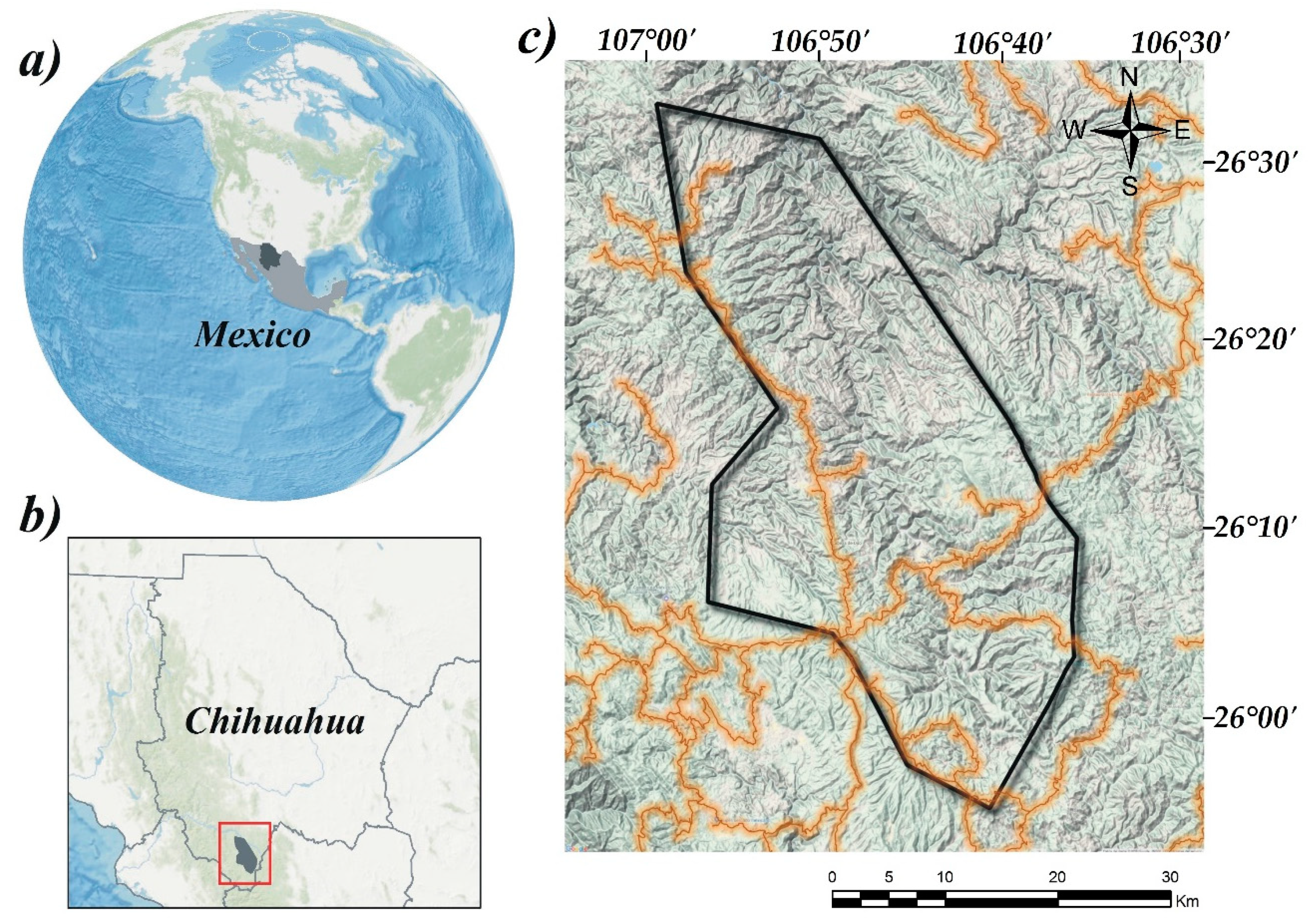 Forests 10 00168 g001 Forests 10 00168 g001