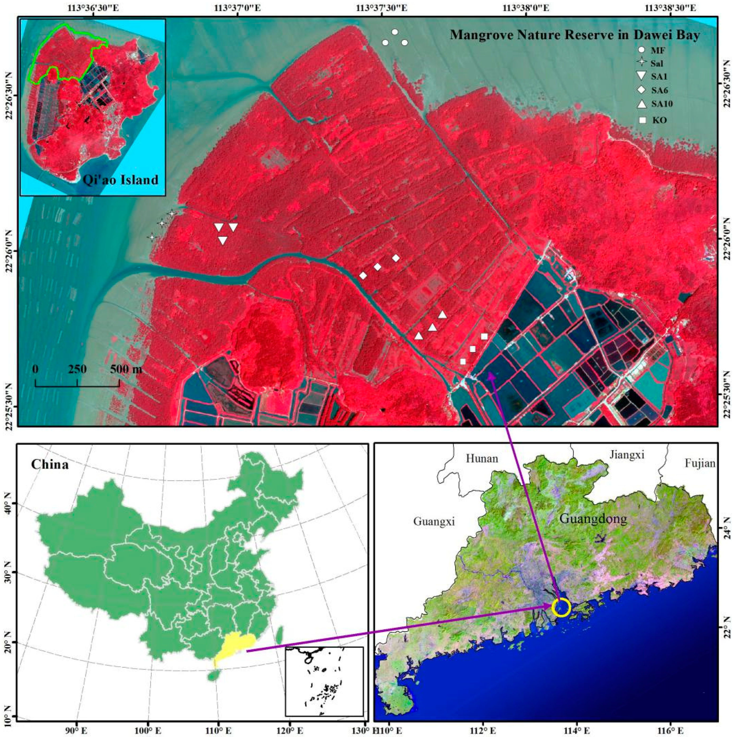 Forests 10 00171 g001