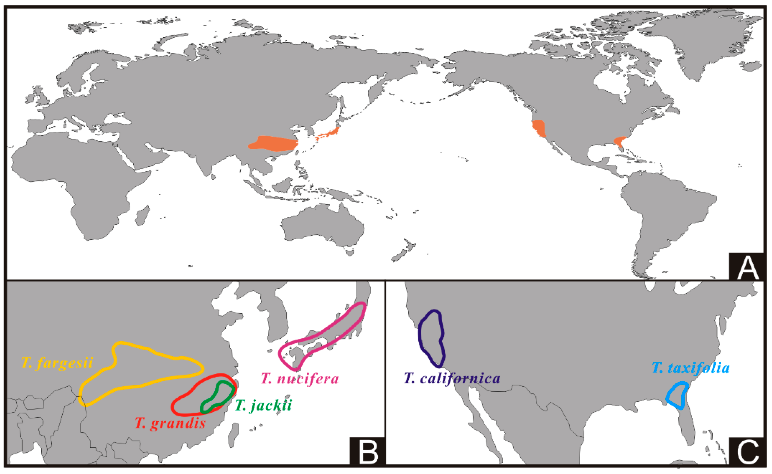 Forests 10 00174 g001 Forests 10 00174 g001