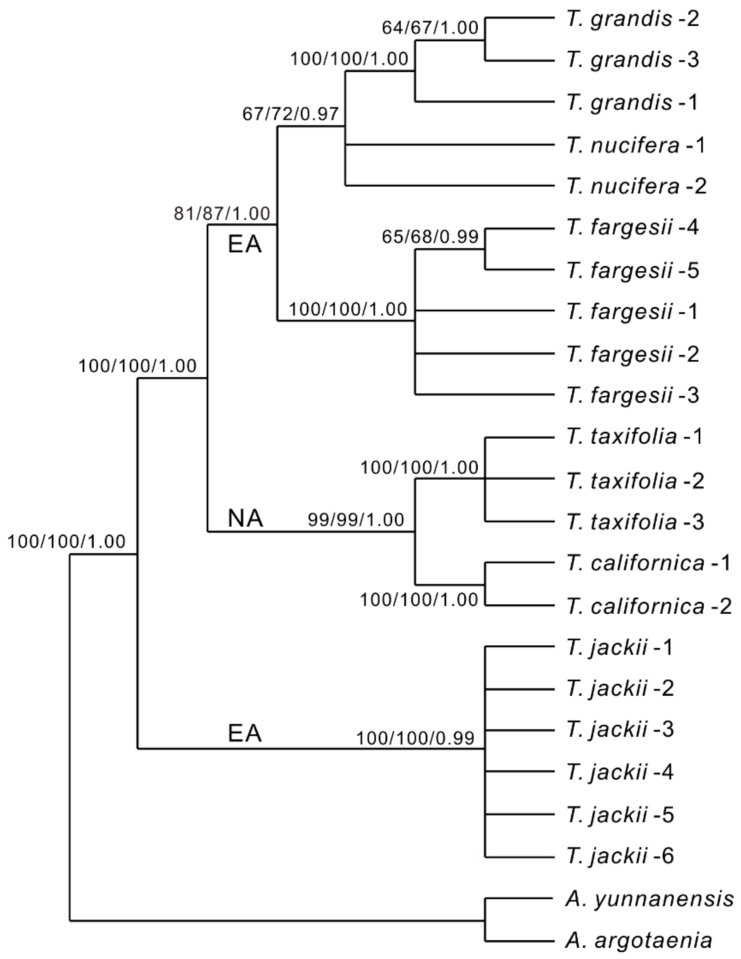 Forests 10 00174 g002 Forests 10 00174 g002