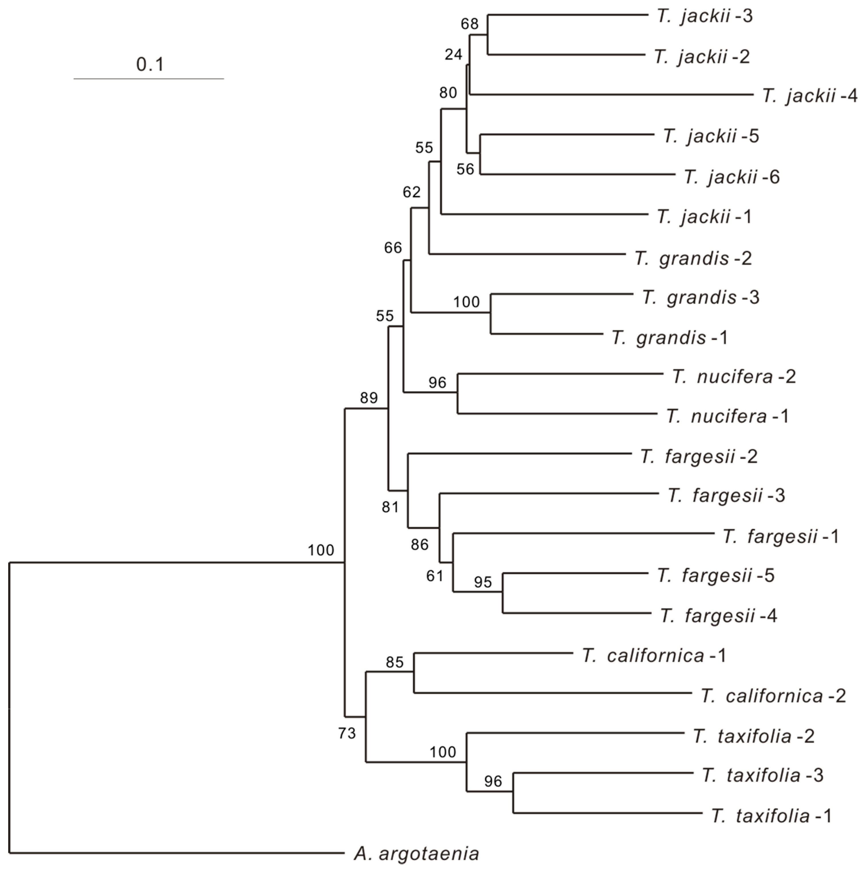 Forests 10 00174 g004 Forests 10 00174 g004