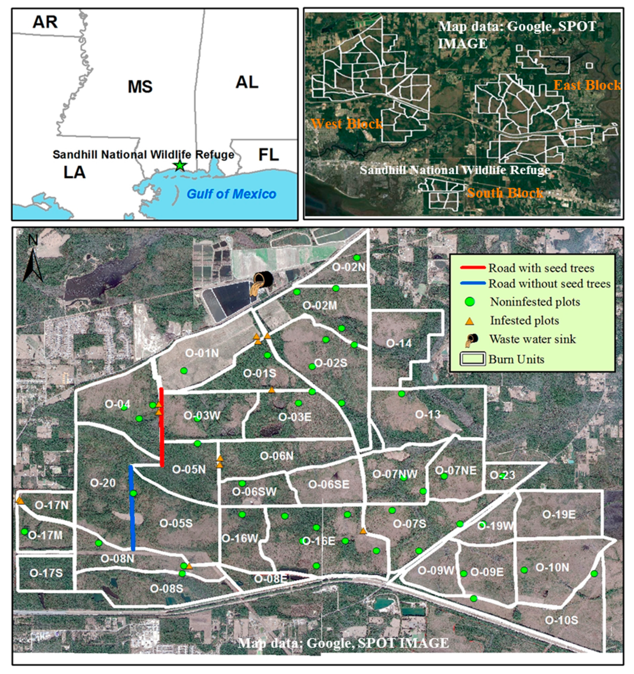 Forests 10 00175 g001 Forests 10 00175 g001