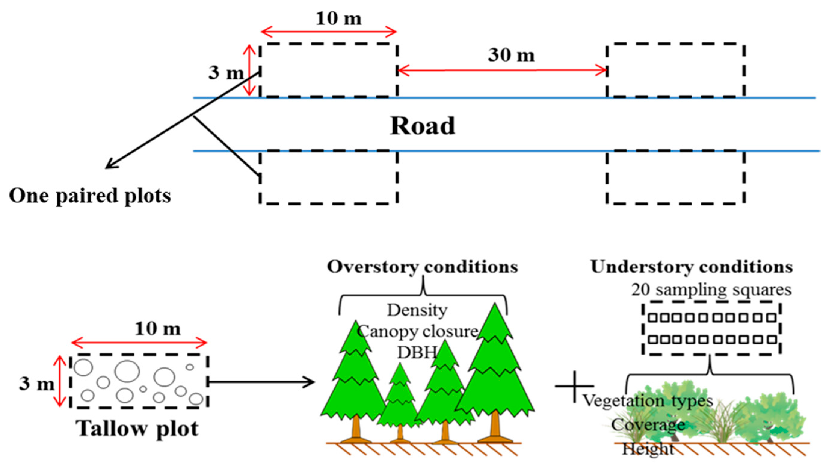 Forests 10 00175 g002 Forests 10 00175 g002