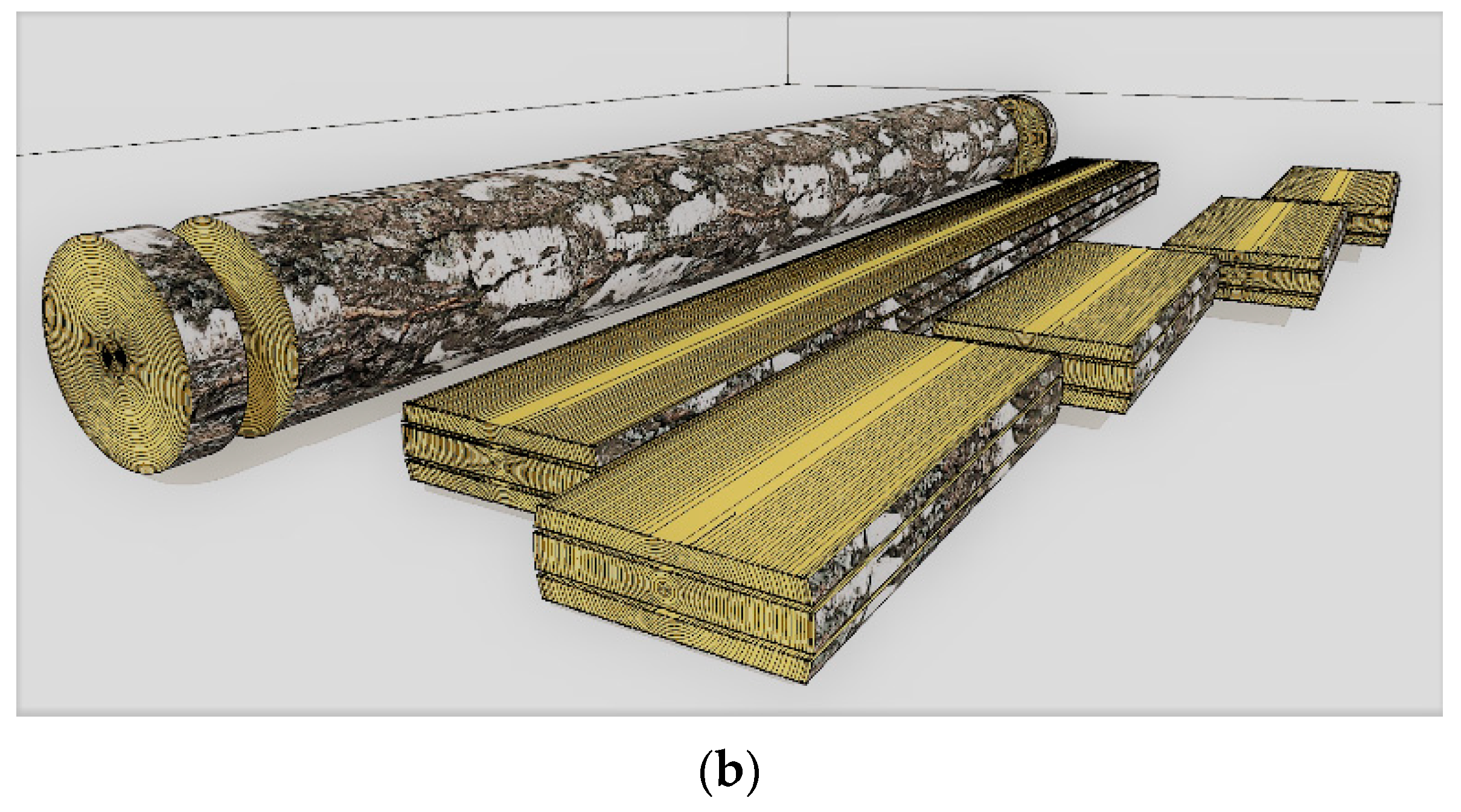 Forests 10 00189 g002a 550