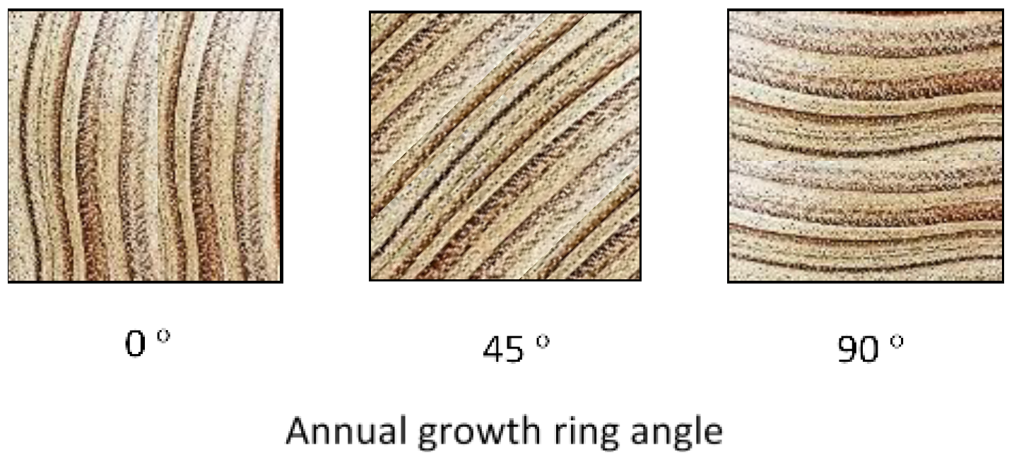 Forests 10 00194 g001 Forests 10 00194 g001
