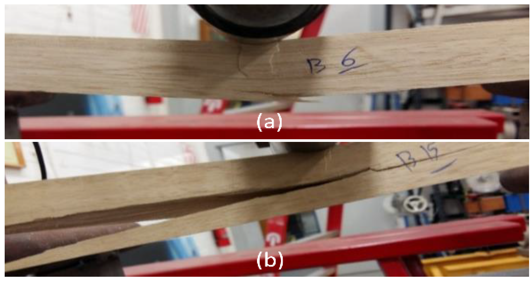 Forests 10 00194 g004 Forests 10 00194 g004