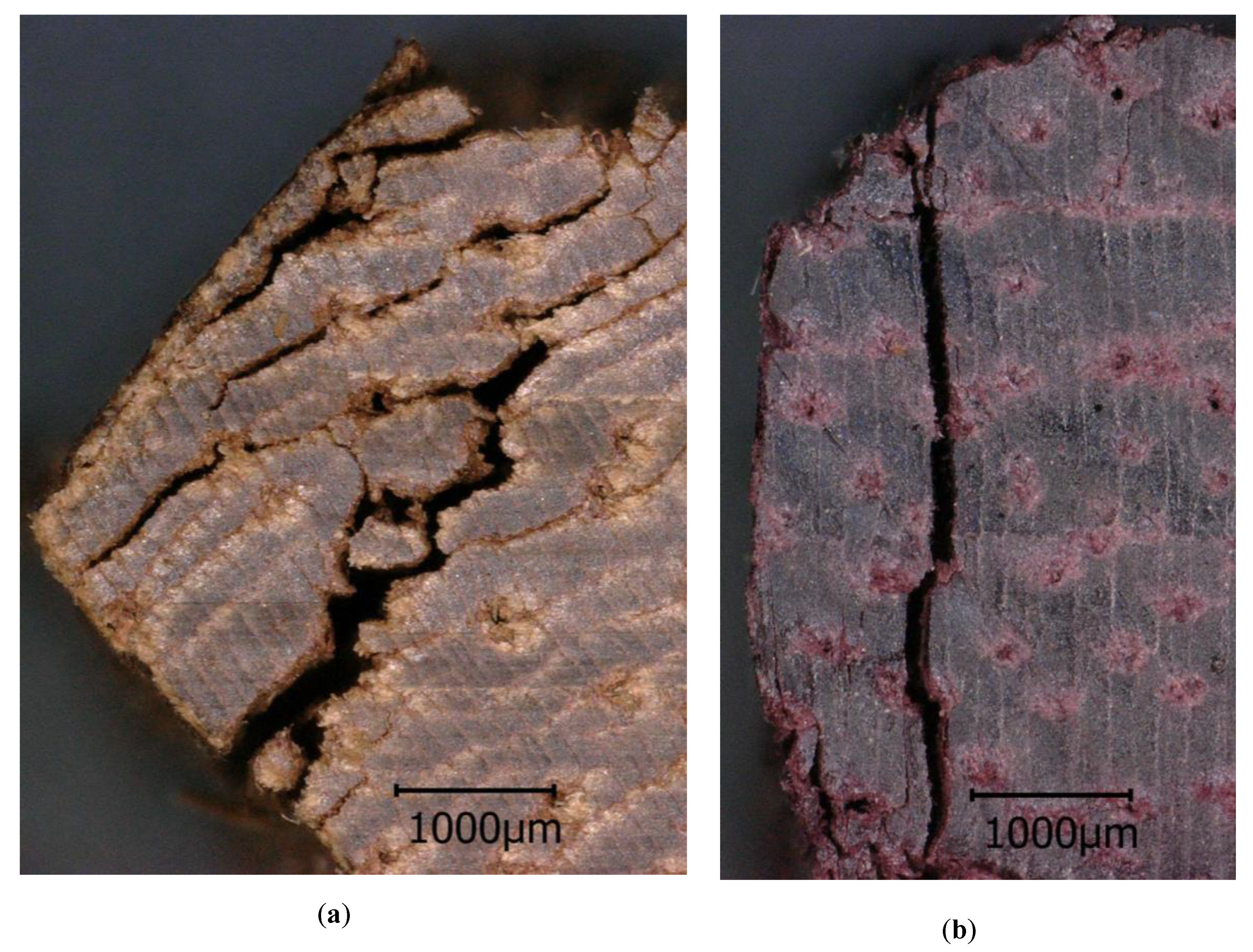 Forests 10 00199 g007 Forests 10 00199 g007