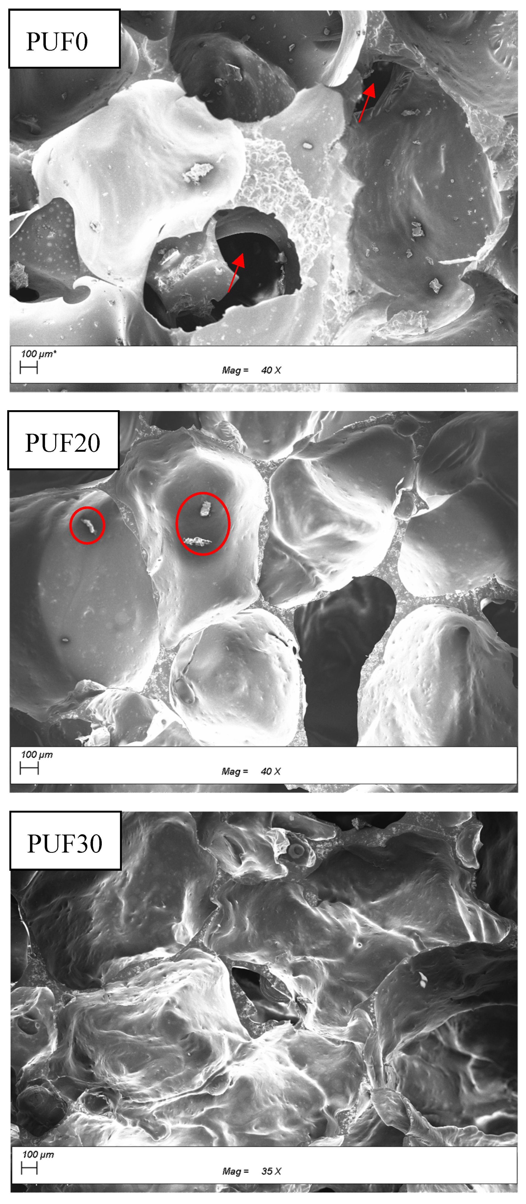 Forests 10 00200 g001 Forests 10 00200 g001