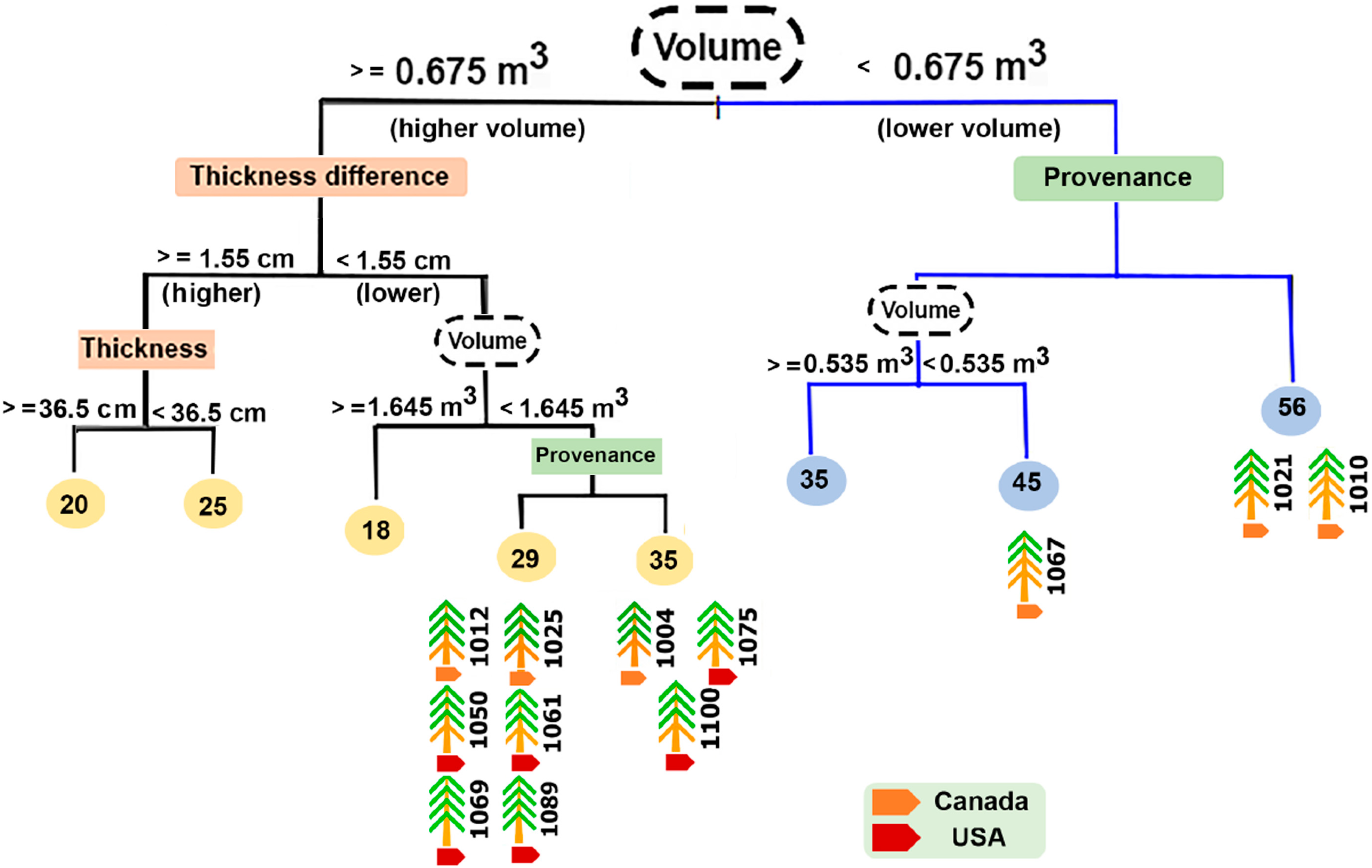 Forests 10 00204 g004 550