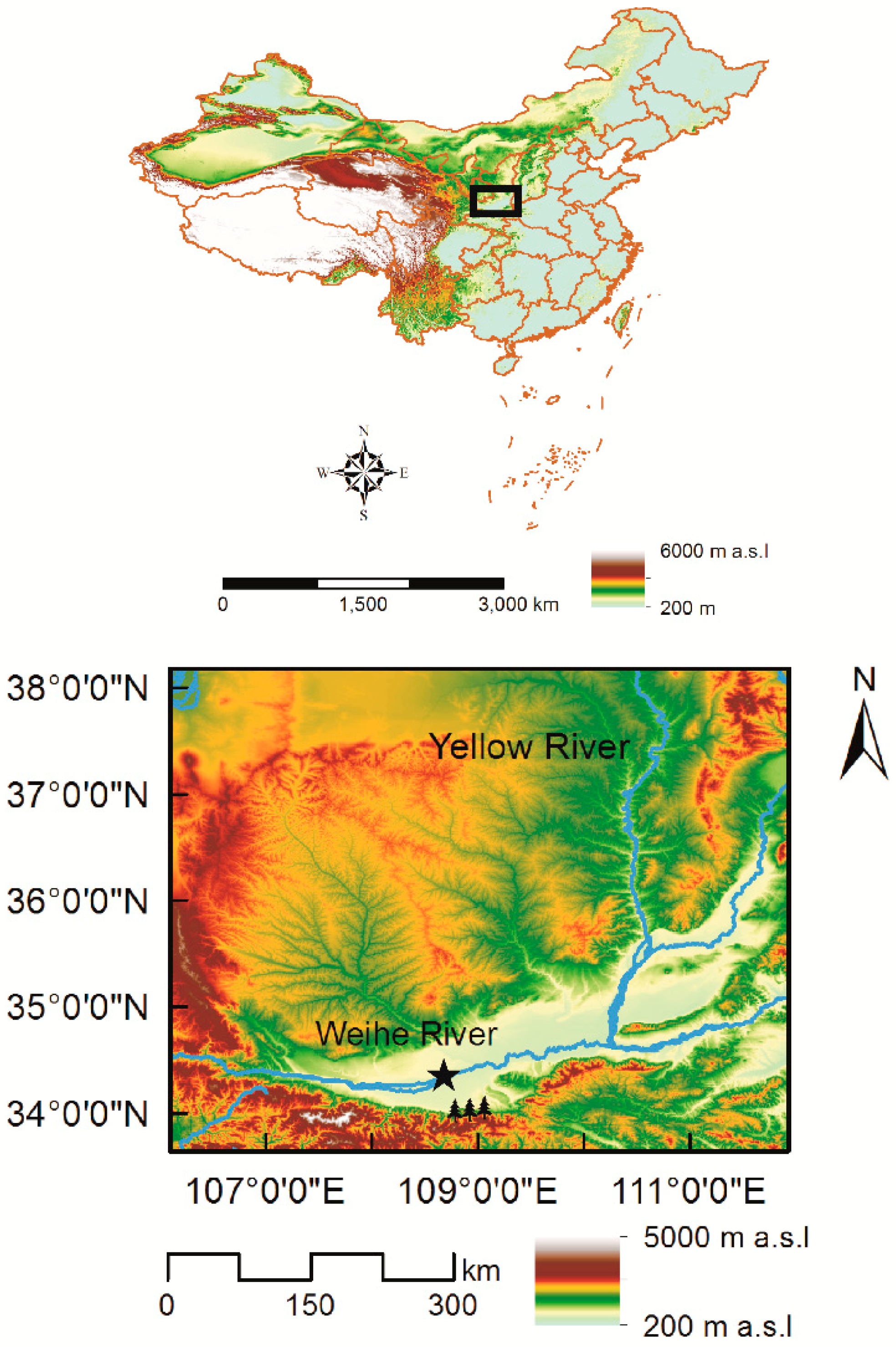 Forests 10 00208 g001