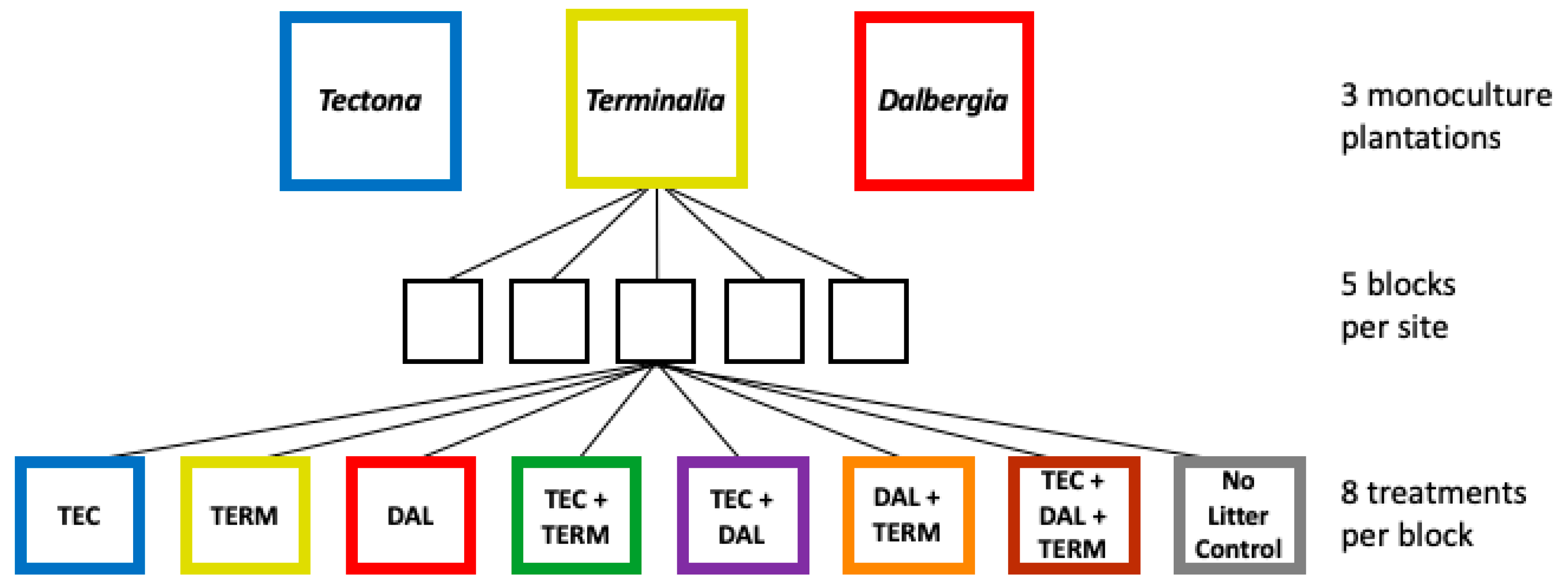 Forests 10 00209 g001
