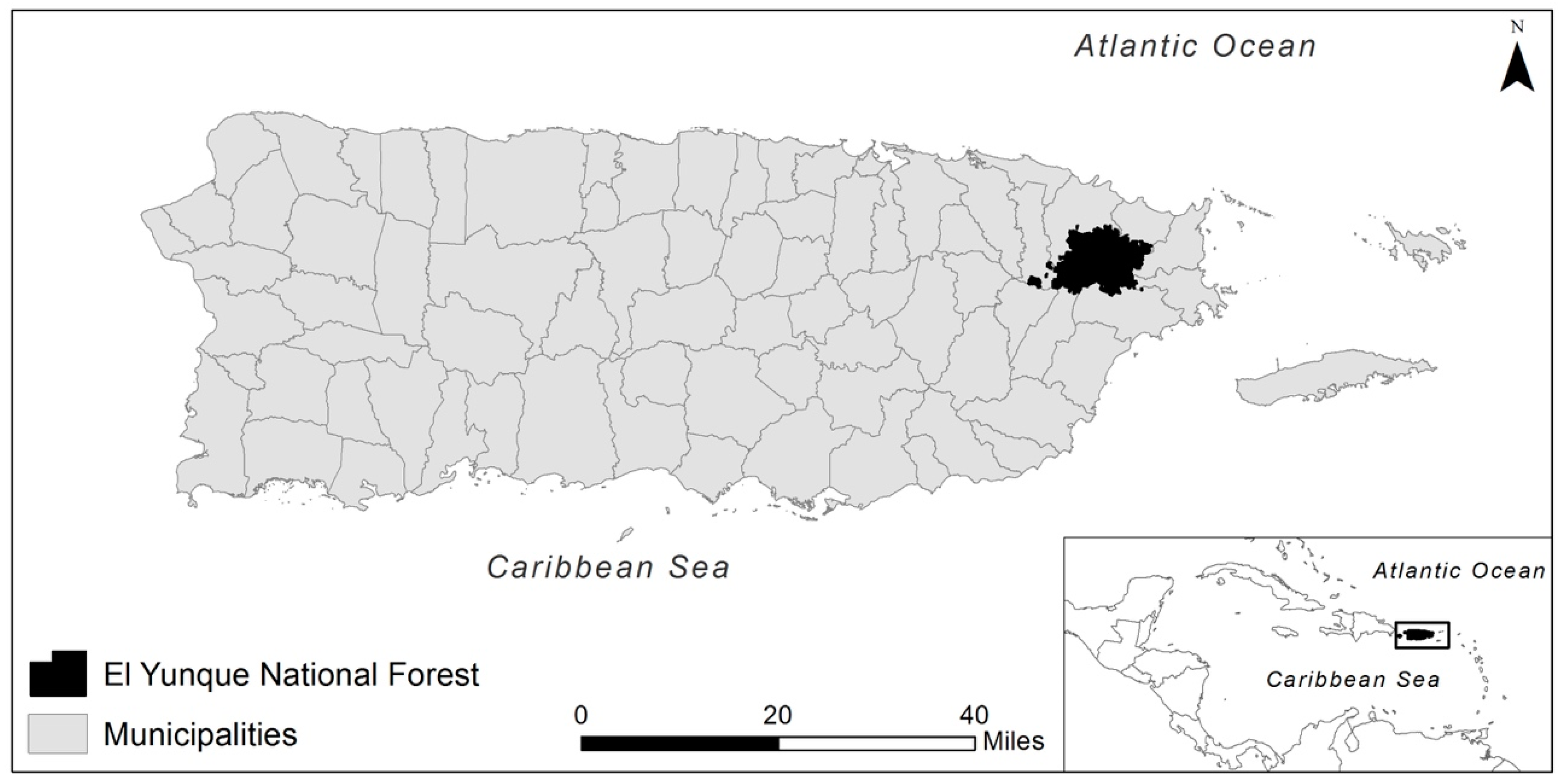 Forests 10 00210 g001 Forests 10 00210 g001