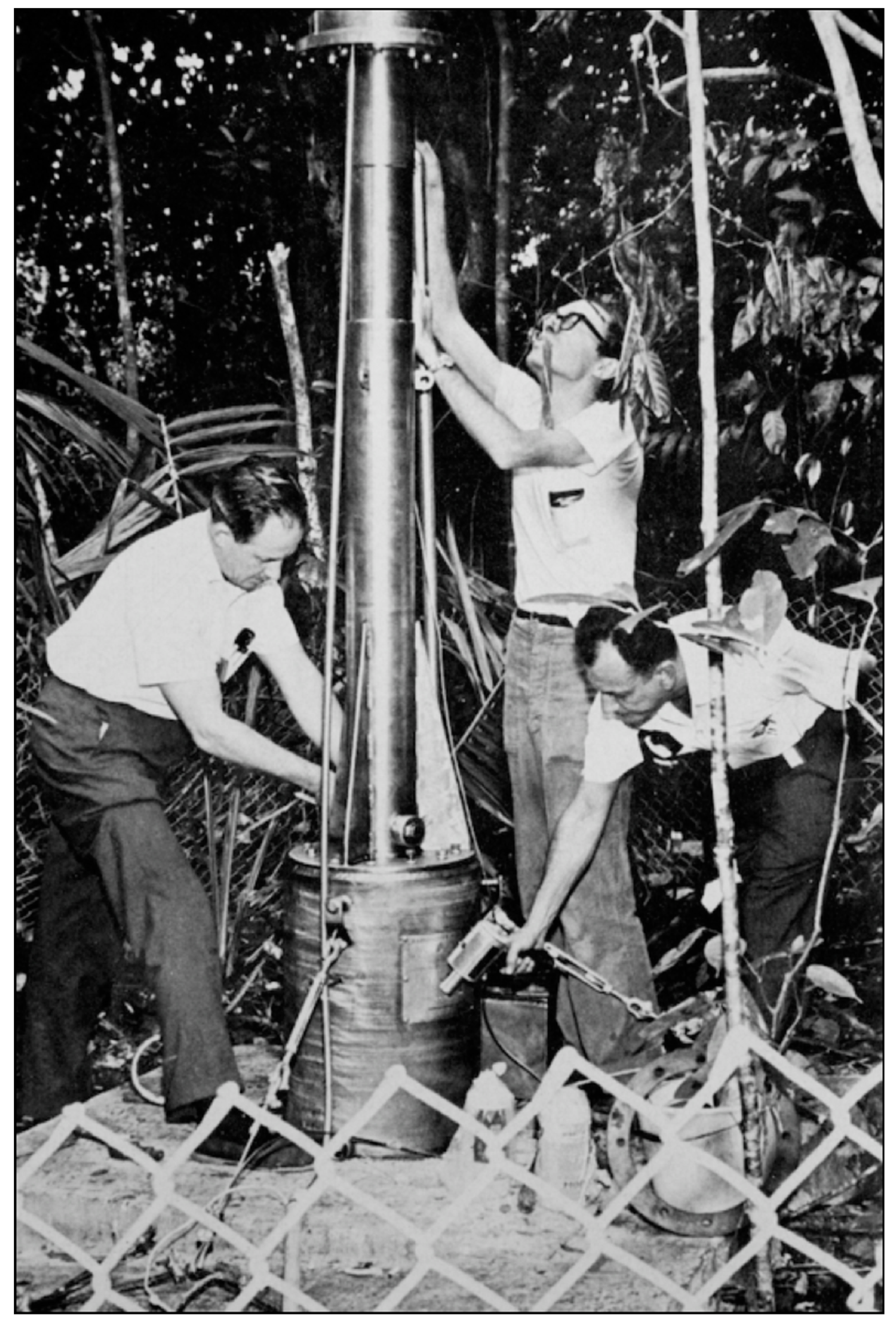 Forests 10 00210 g002 Forests 10 00210 g002